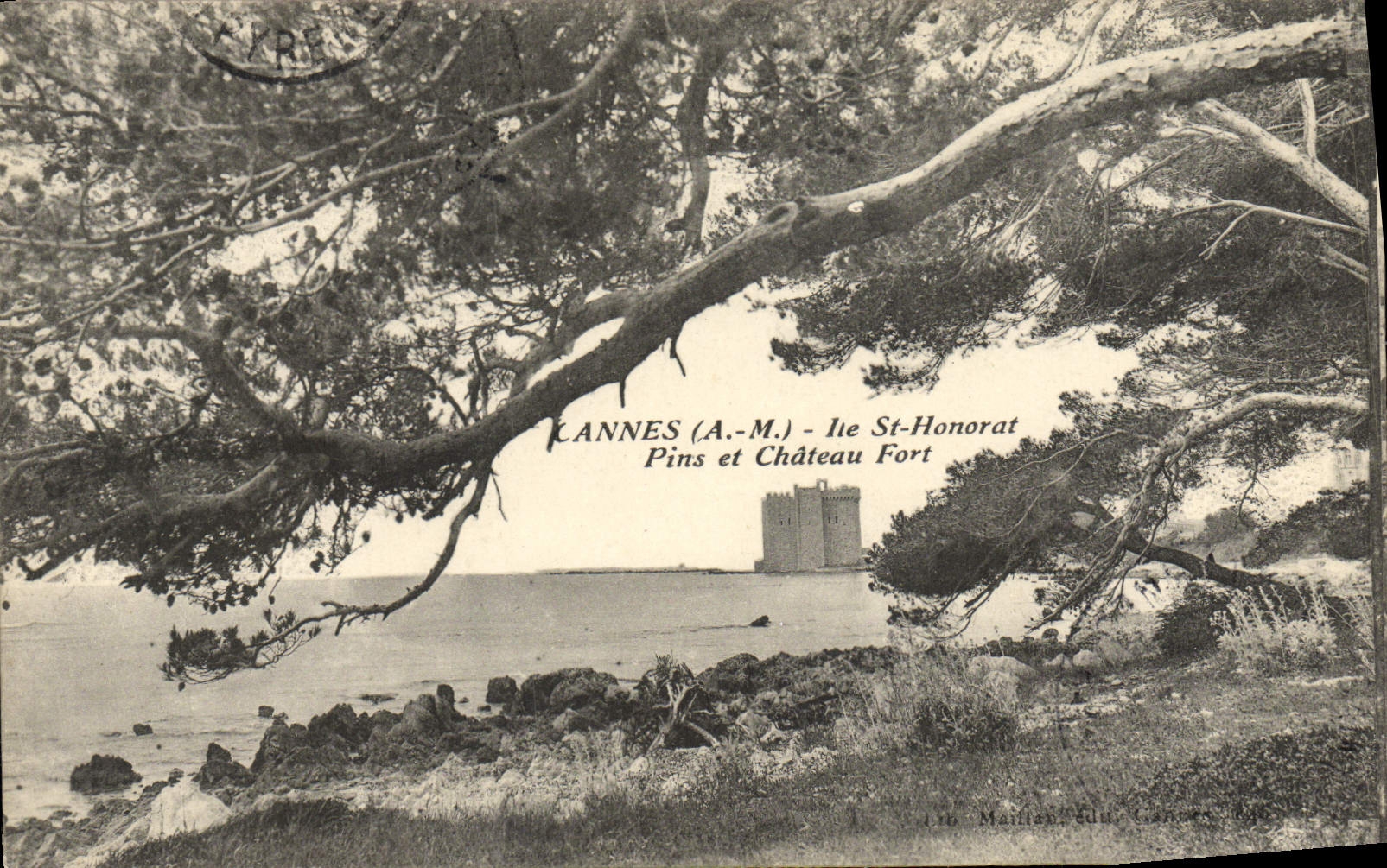 CPA Cannes Ile St Honorat Pins et chateau fort