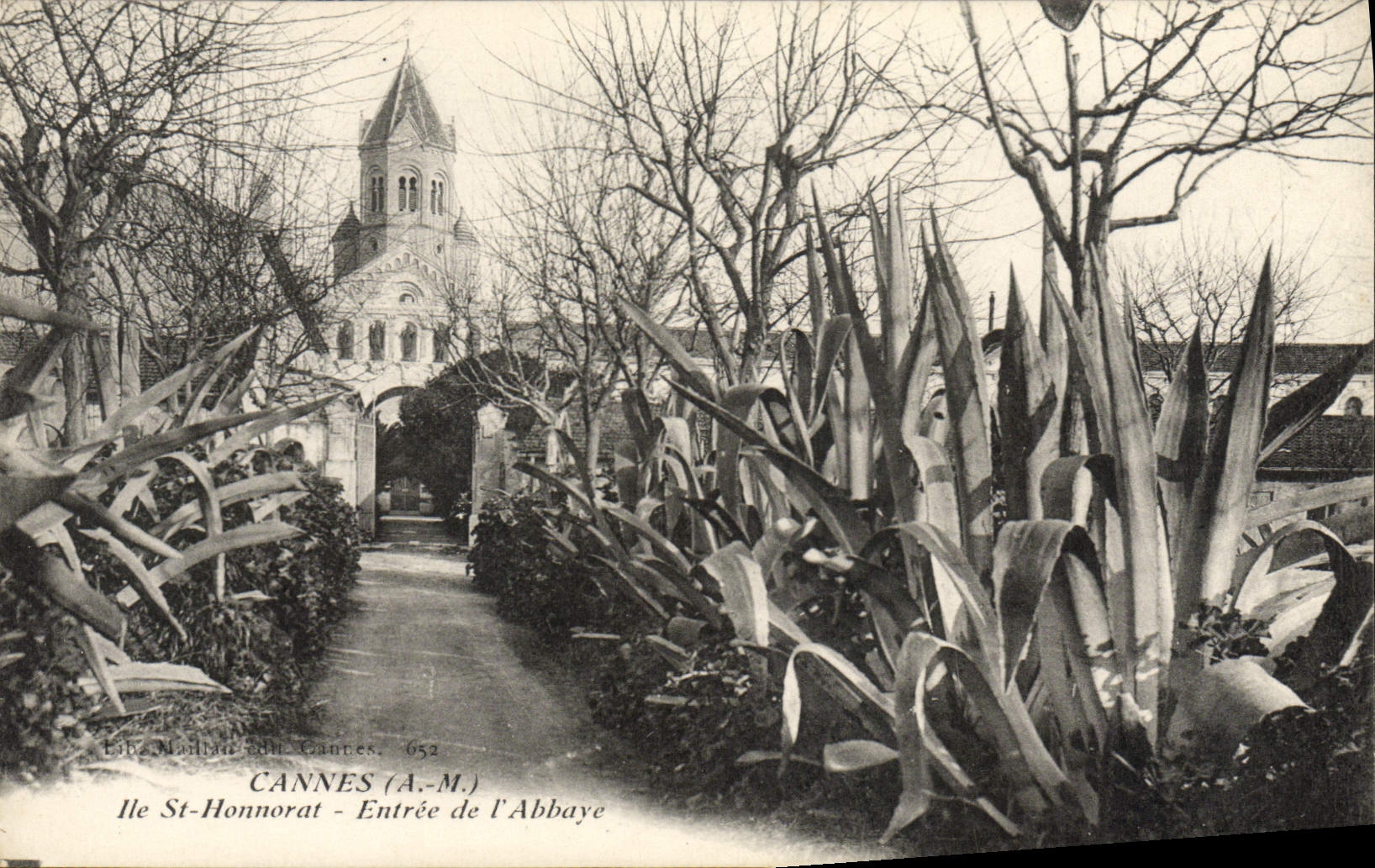 CPA Cannes lle St Honnorat Entree de l'Abbaye 