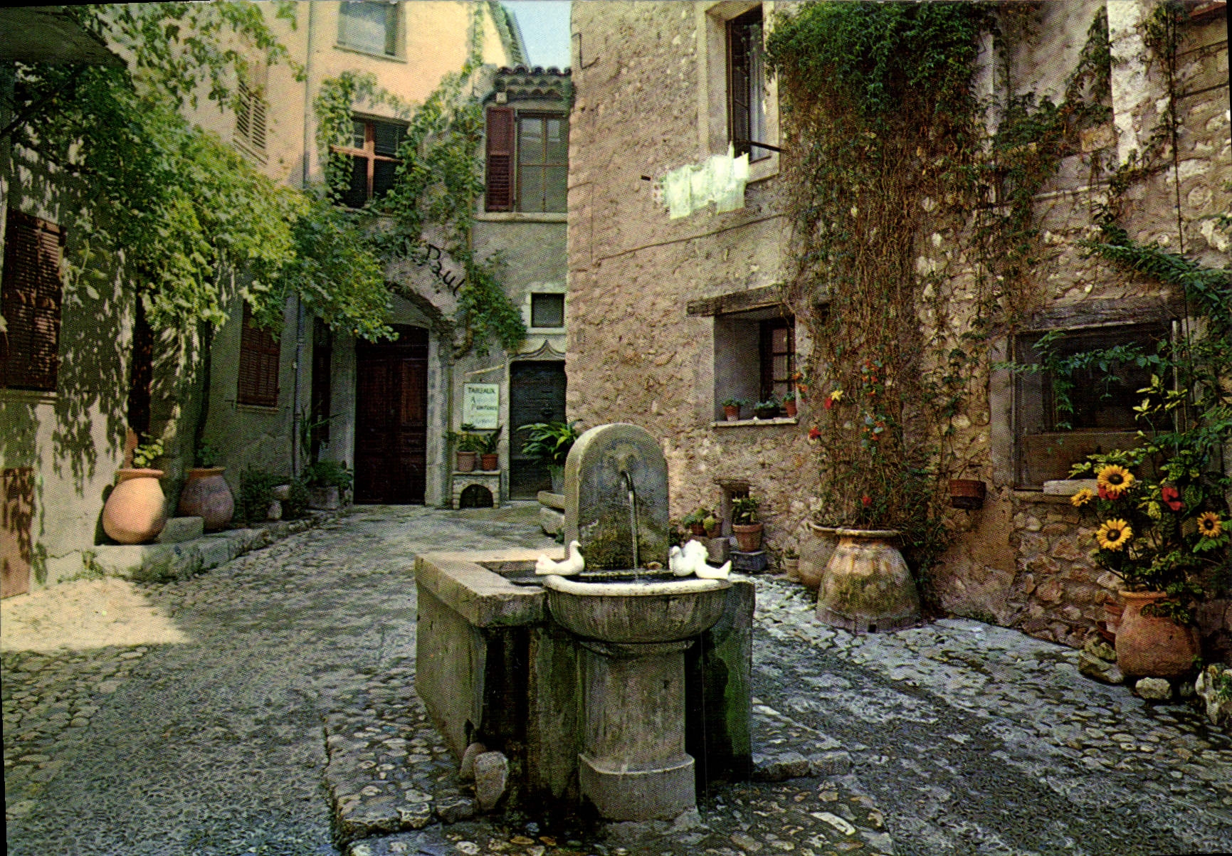 CPM Saint Paul Cote d'Azur Fernch Riviera La placette Fontaine aux colombes