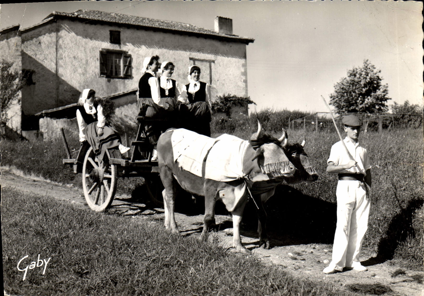 La POSTAL de la VENDIMIA el BI-Harri vasco Biarritz de Poputaire del arte del grupo del Pays Basque sale para el festival del folklore