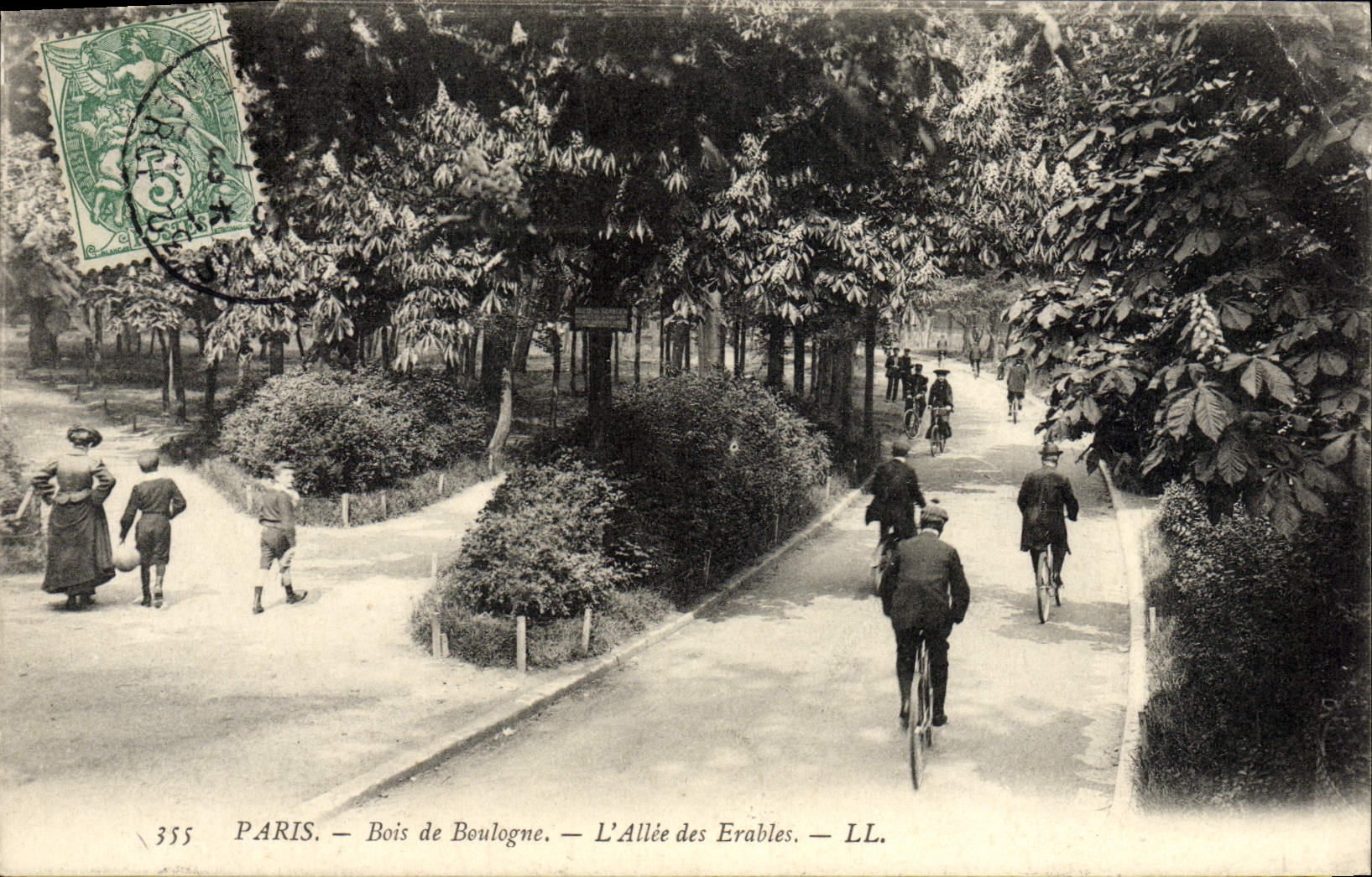 CPA Paris Bois de Boulogue L'Allee des Erables Velo Cycle 
