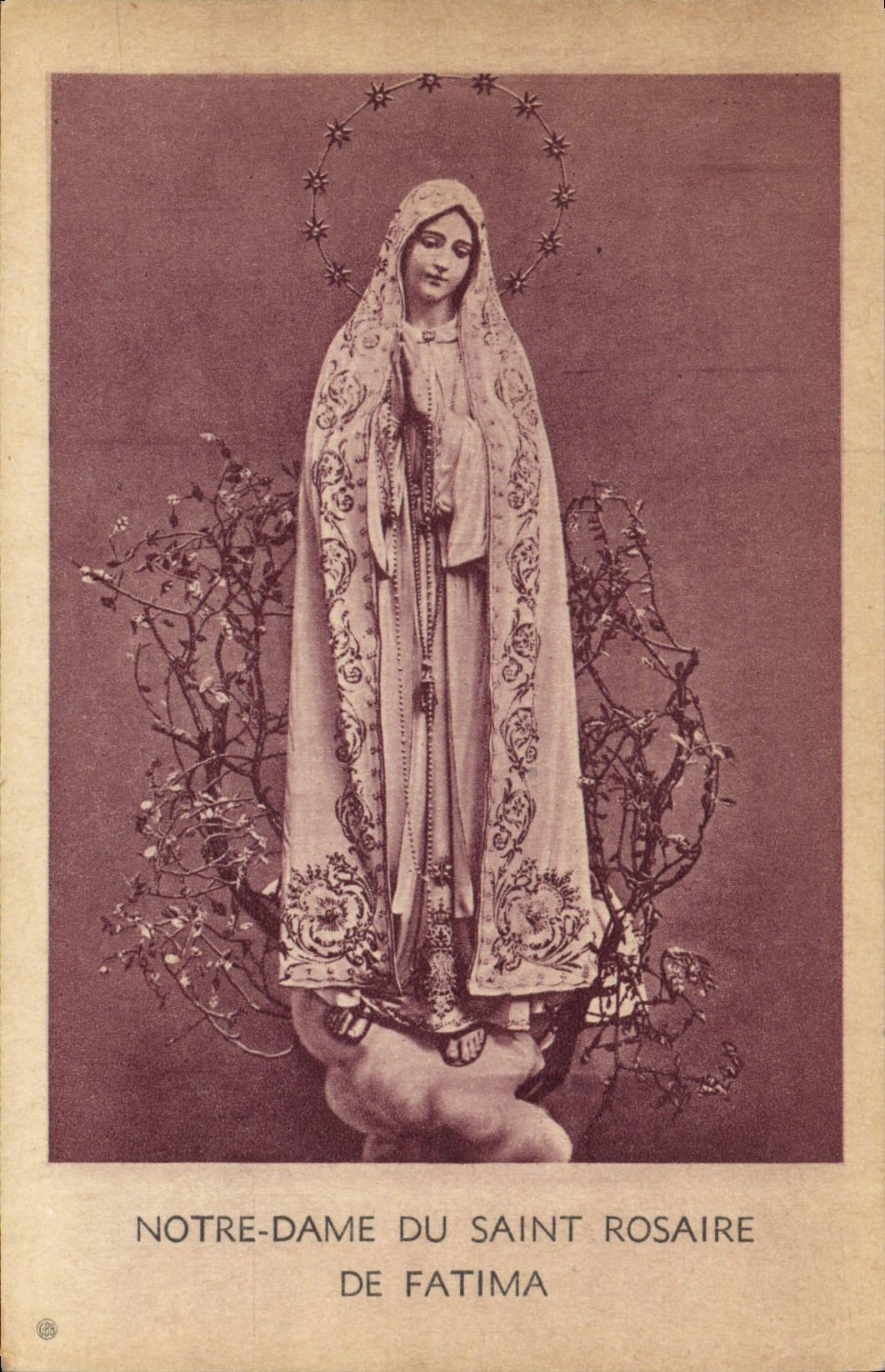 VINTAGE POSTCARD Notre Dame Of the Saint Rosary De Fatima