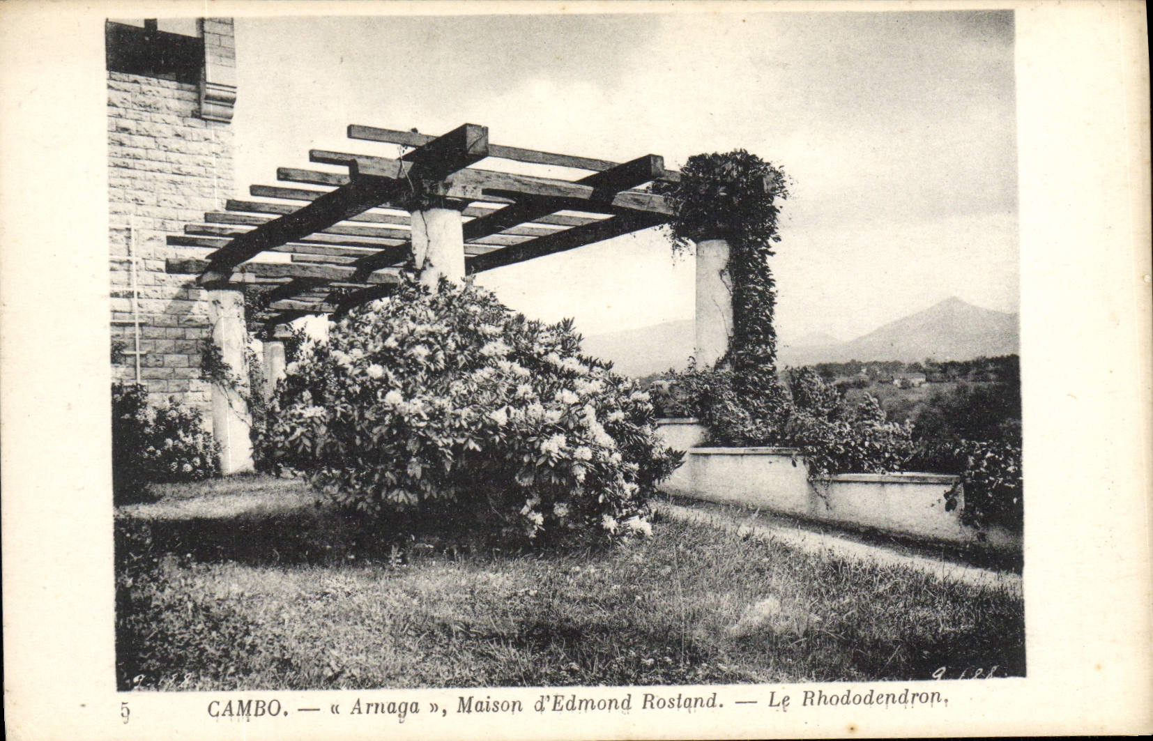 VINTAGE POSTCARD Cambo Arnaga House Of Edmond Rostand the Rhododendron