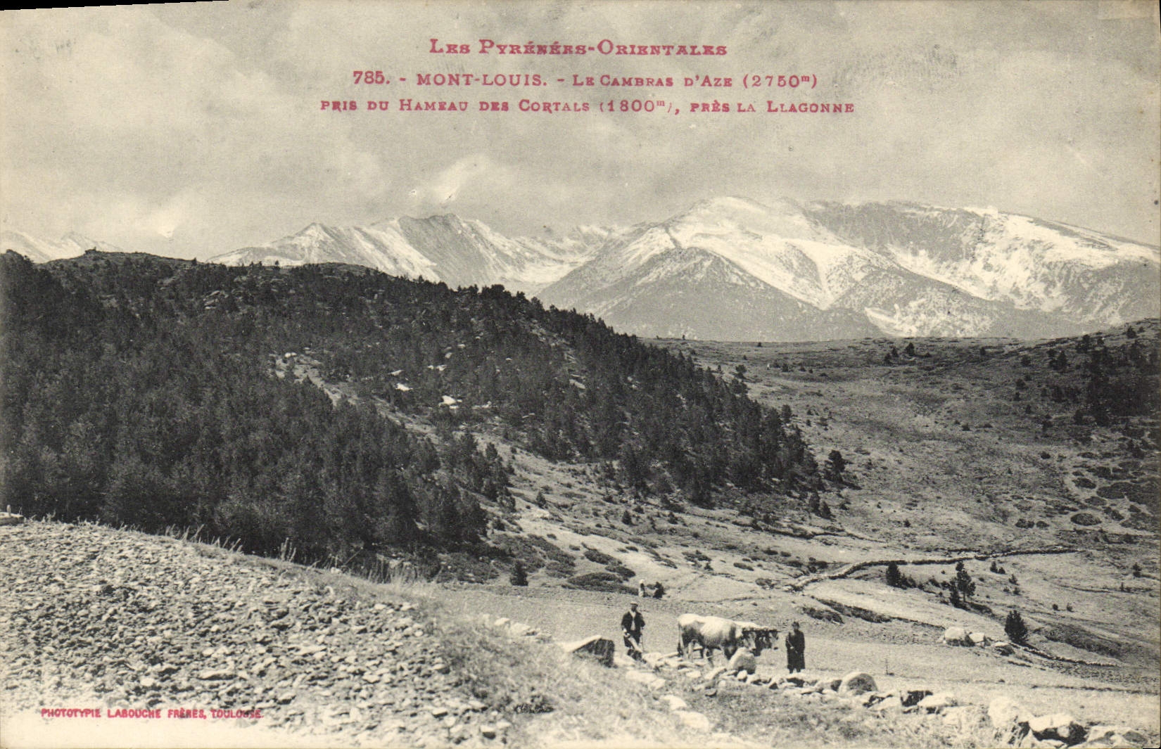 La POSTAL Montlouis de la VENDIMIA lo combó D Aze tomado de la aldea del coche cercano de los bueyes de Cortals Llagonne Charrue