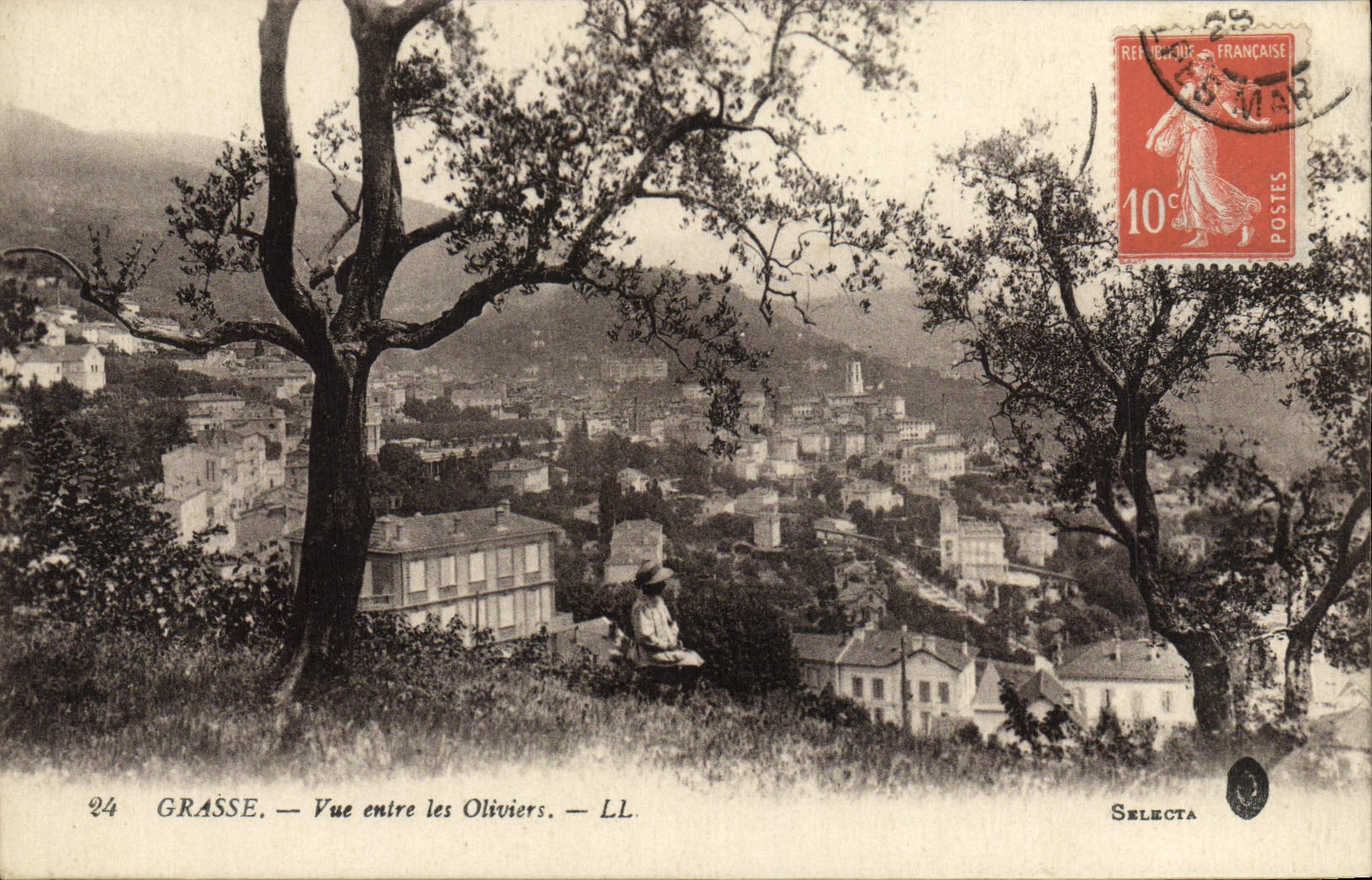 CPA Grasse Vue Entre Les Oliviers