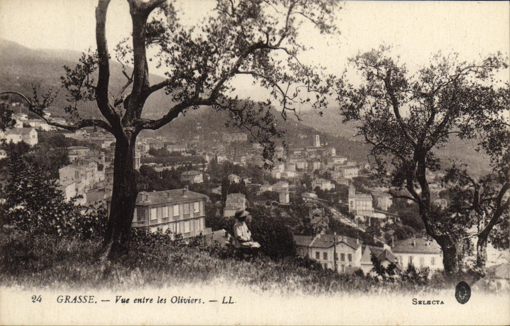 CPA Grasse Vue Entre Les Oliviers