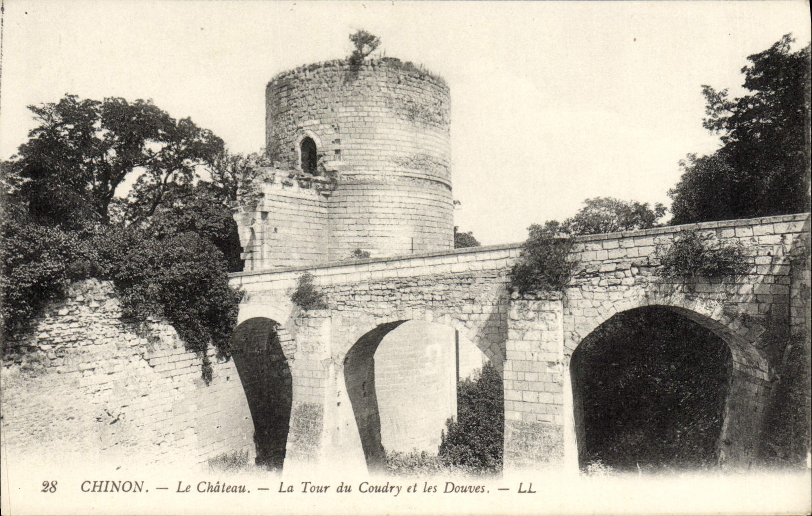 VINTAGE POSTCARD Chinon the Castle the Tower Of Coudry And Ditches