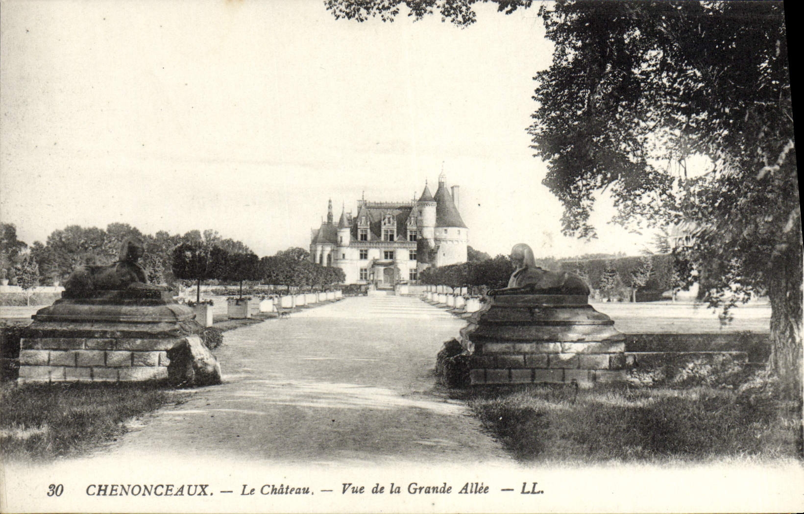 POSTAL Chenonceaux de la VENDIMIA el castillo visto de la esfinge grande del callejón