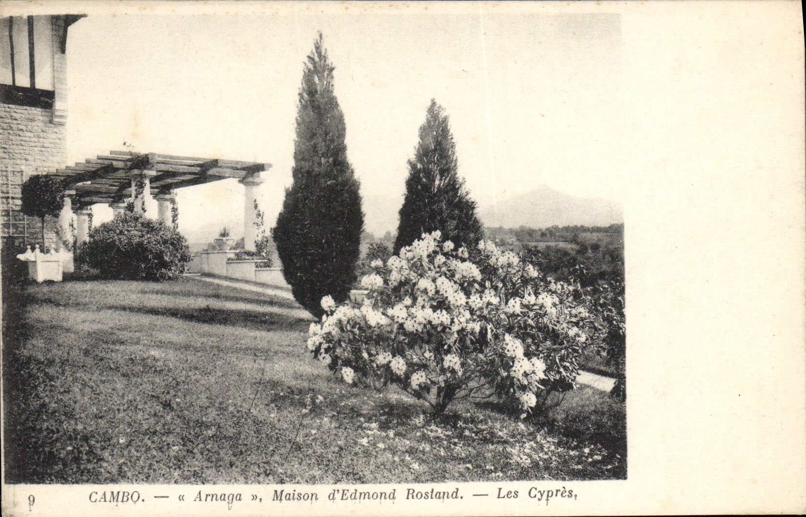 VINTAGE POSTCARD Cambo Arnaga House Of Edmond Rostand cypresses