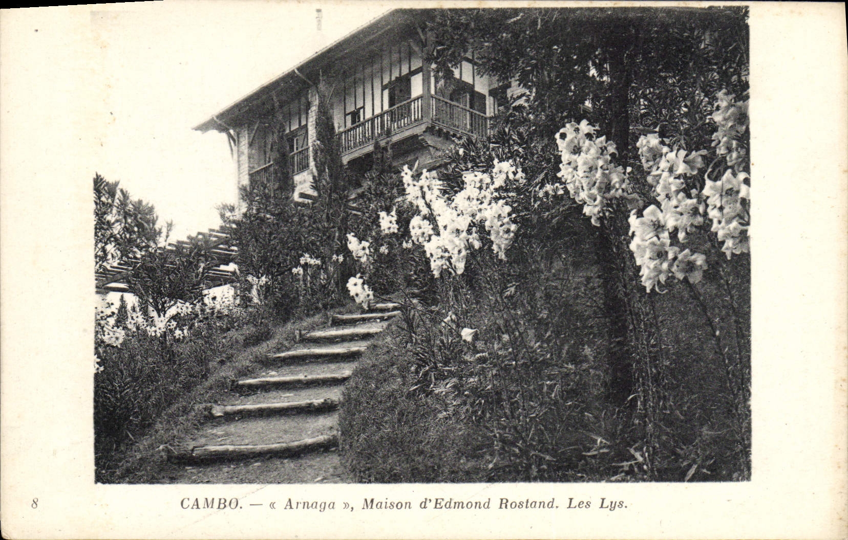 CPA Cambo Arnaga Maison D'Edmond Rostand Les lys