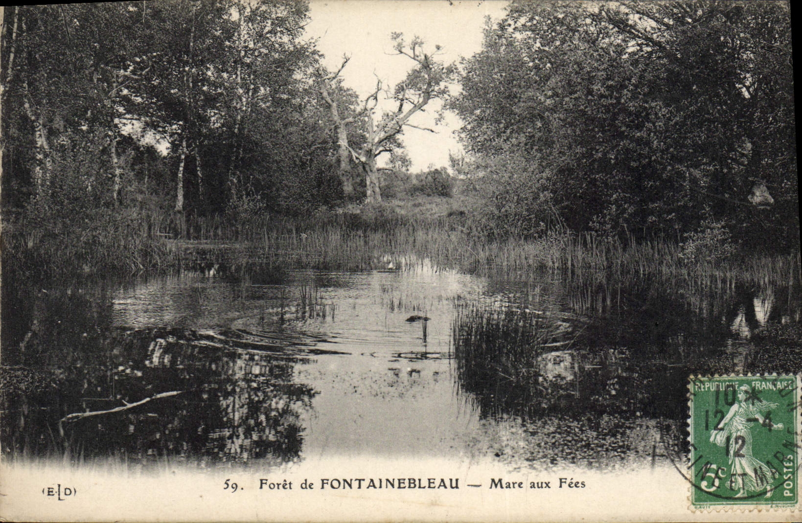 CPA Foret De Fontainebleau Mare Aux Fees