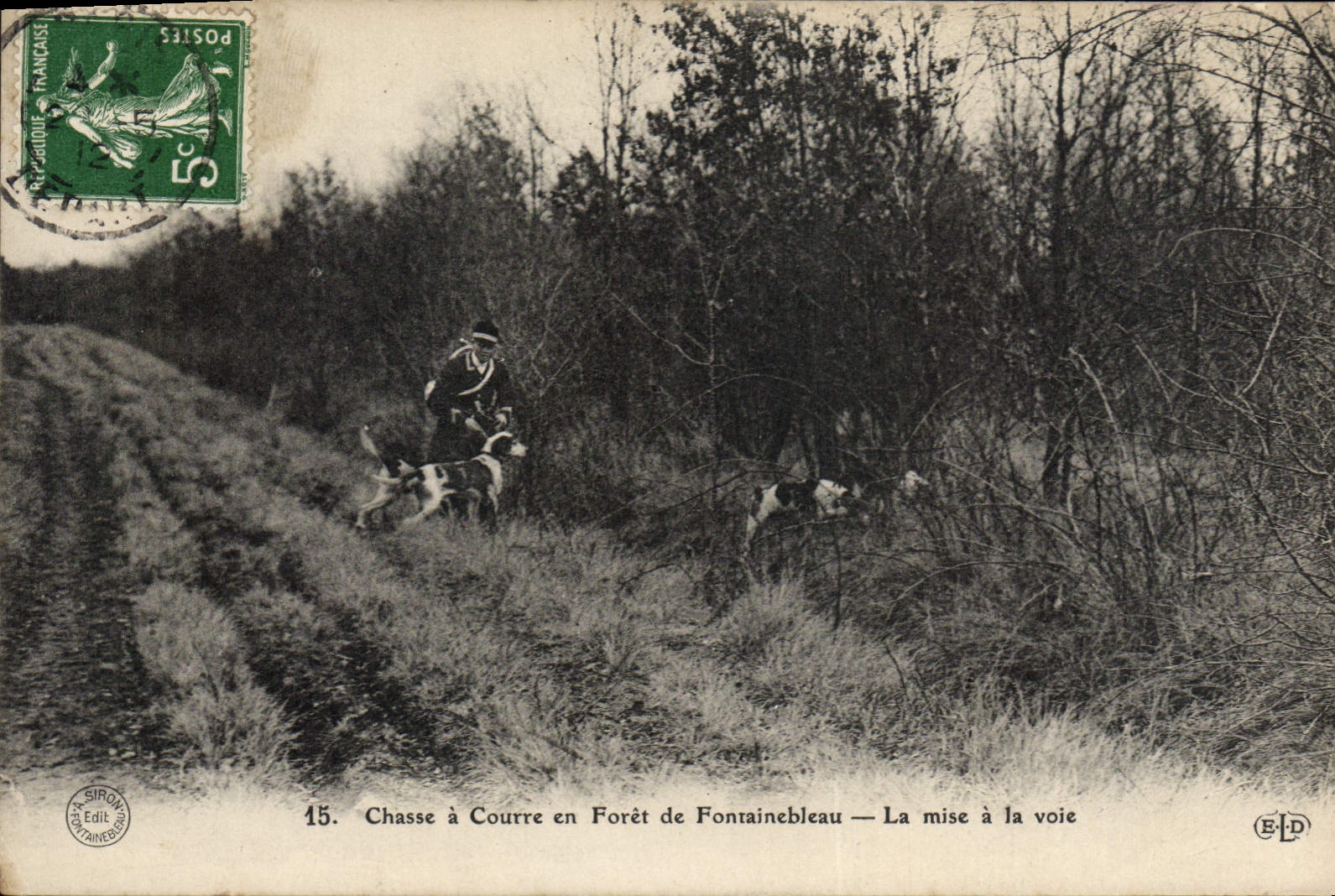 VINTAGE POSTCARD Foret De Fontainebleau the Setting With the Way Dog Drives out