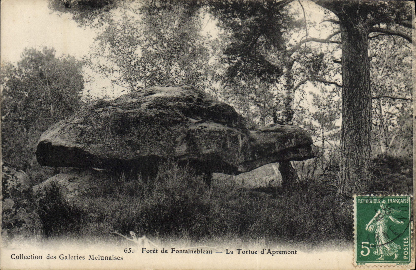 VINTAGE POSTCARD Drill of Fontainebleau the Tortoise of Apremont