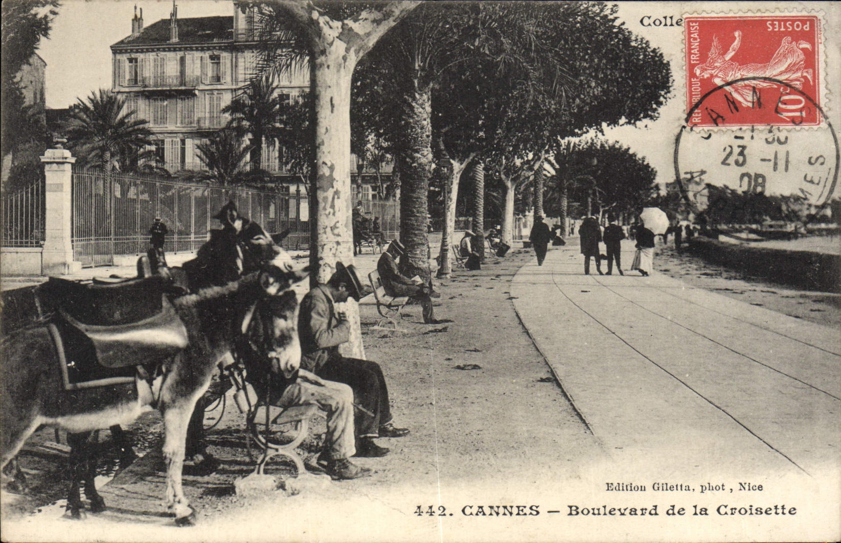 VINTAGE POSTCARD Cannes Boulevard of the Small cross Asses Mules