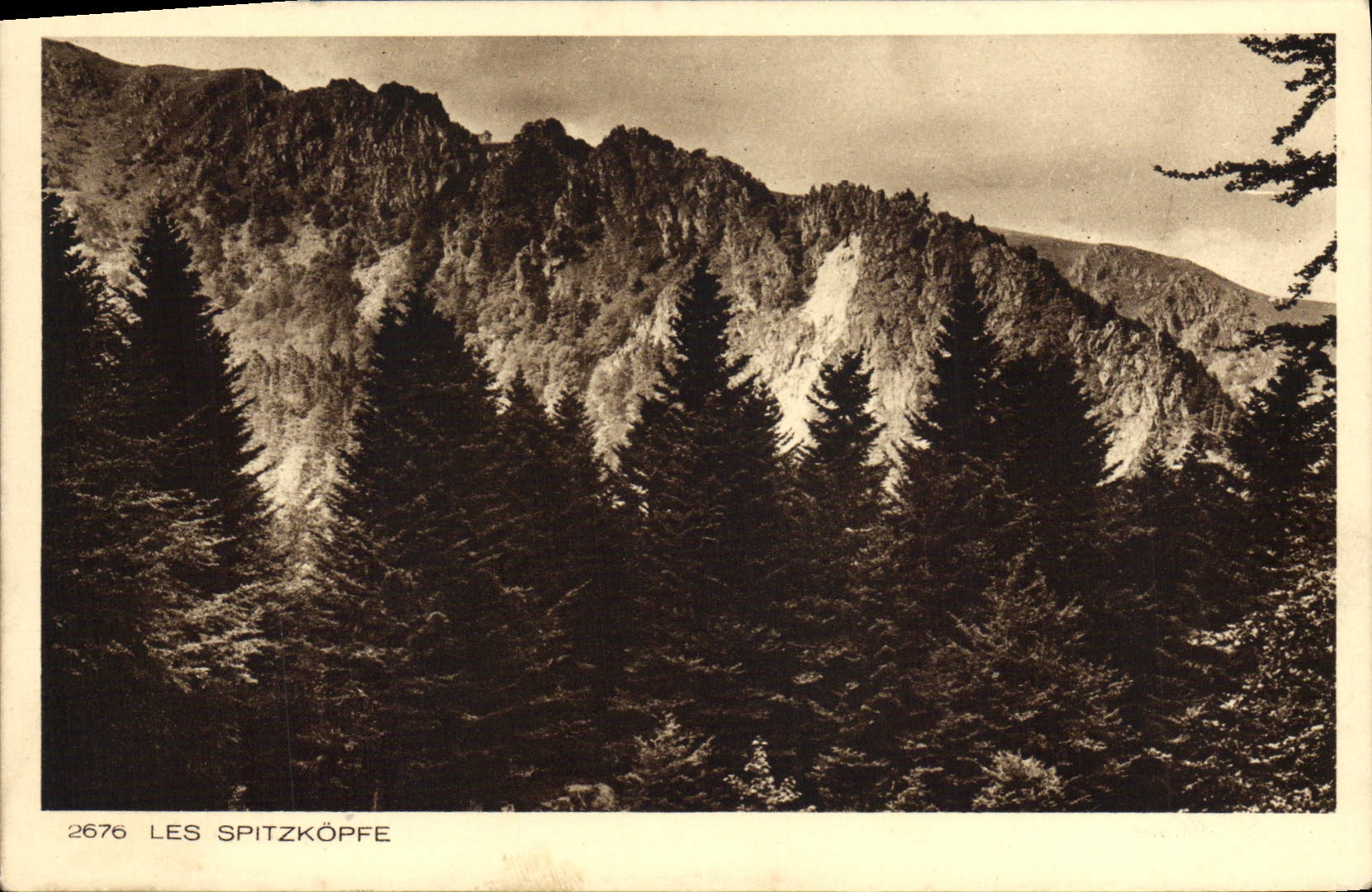 VINTAGE POSTCARD Spitzkopfe