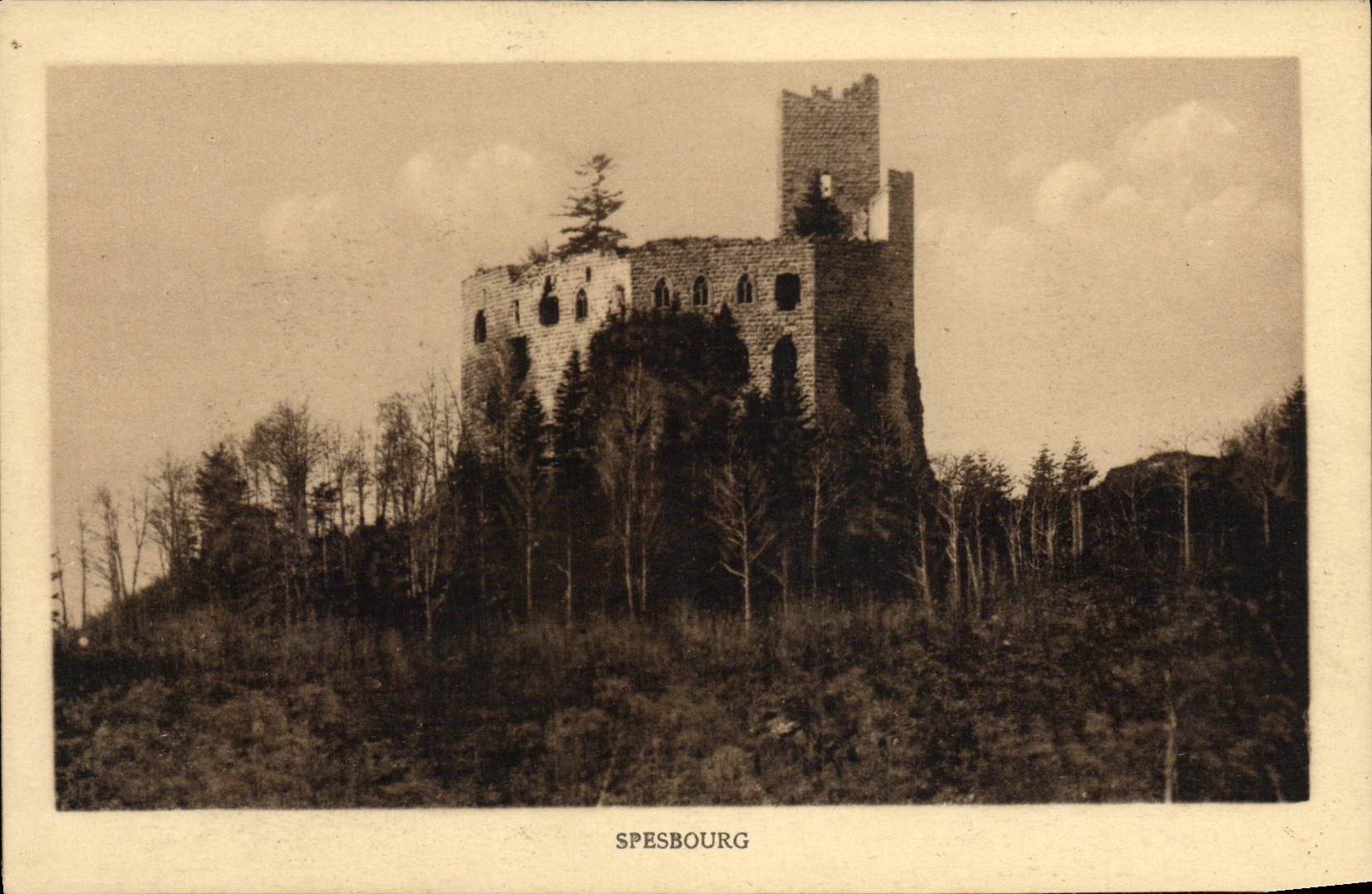 VINTAGE POSTCARD Spesbourg