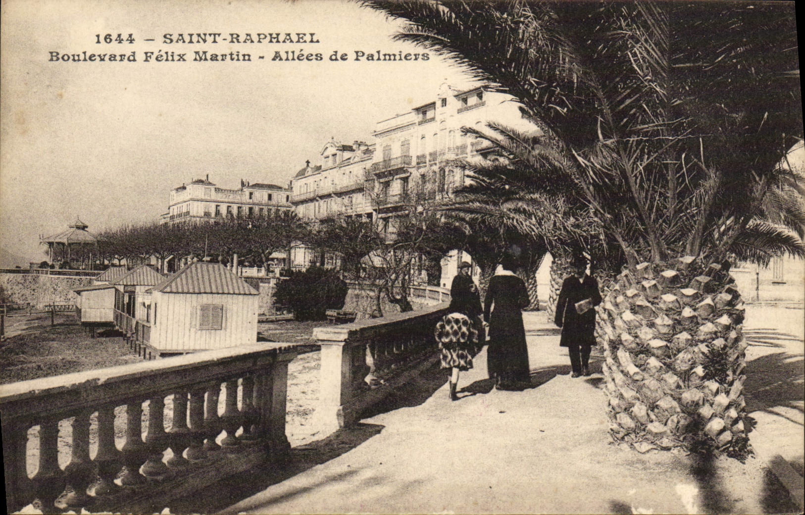 CPA Saint Raphael Boulevard Felix Martin Allees de Palmiers