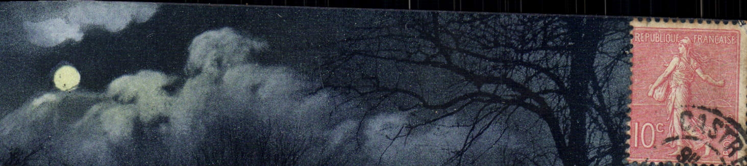 VINTAGE POSTCARD Castres the night the garden of the Email