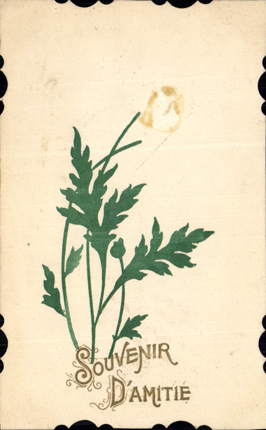 CPA Fantaisie Fleurs