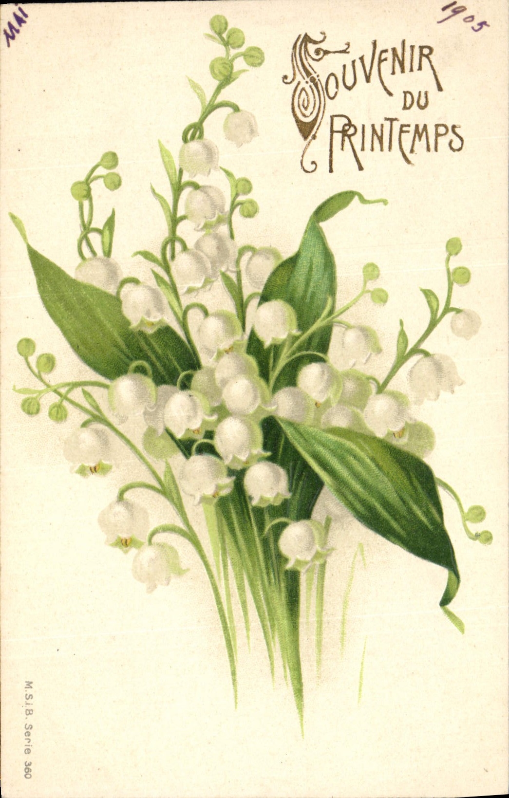 CPA Fantaisie Fleurs Muguet