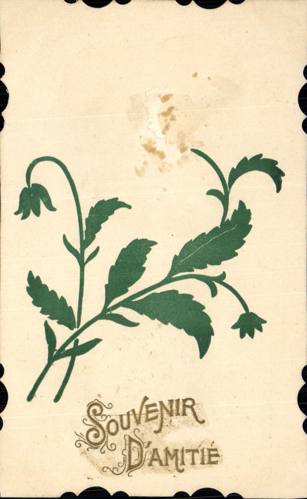 CPA Fantaisie Fleurs