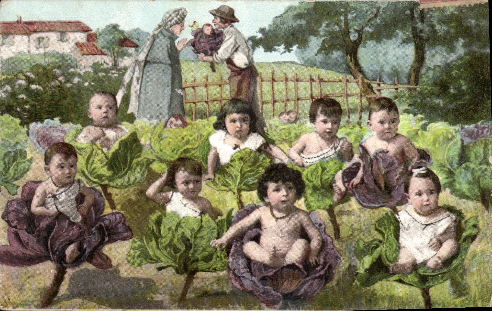 VINTAGE POSTCARD Children in cabbages