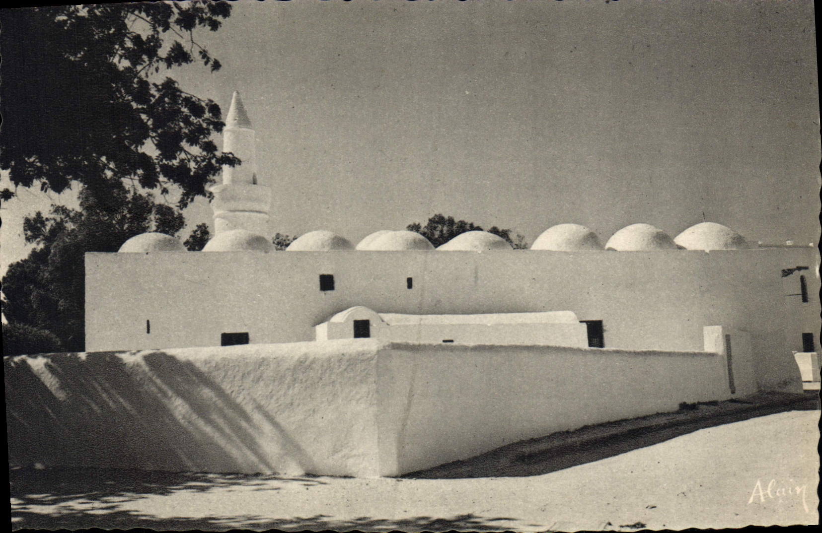 Mezquita del turco de Jerba de la POSTAL de la VENDIMIA