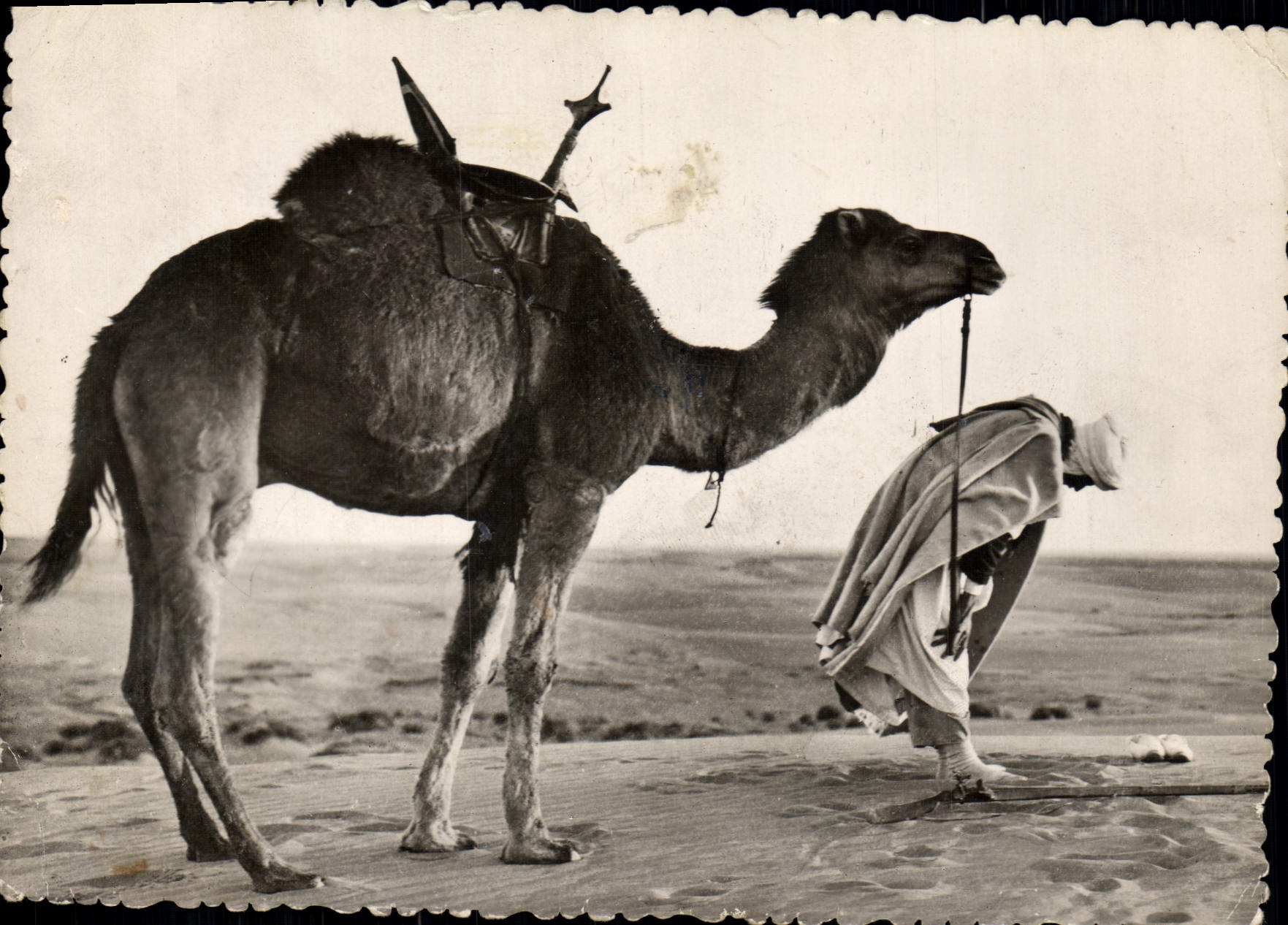 MODERN CARD Saharan Collection the Hour Of the Prayer