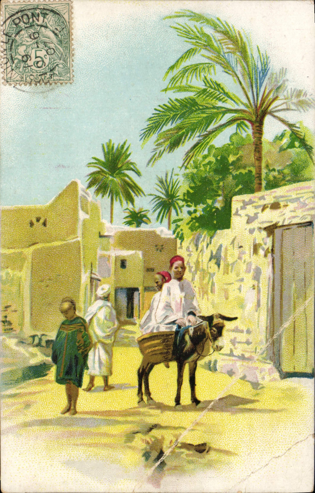 CPA Ane Mule