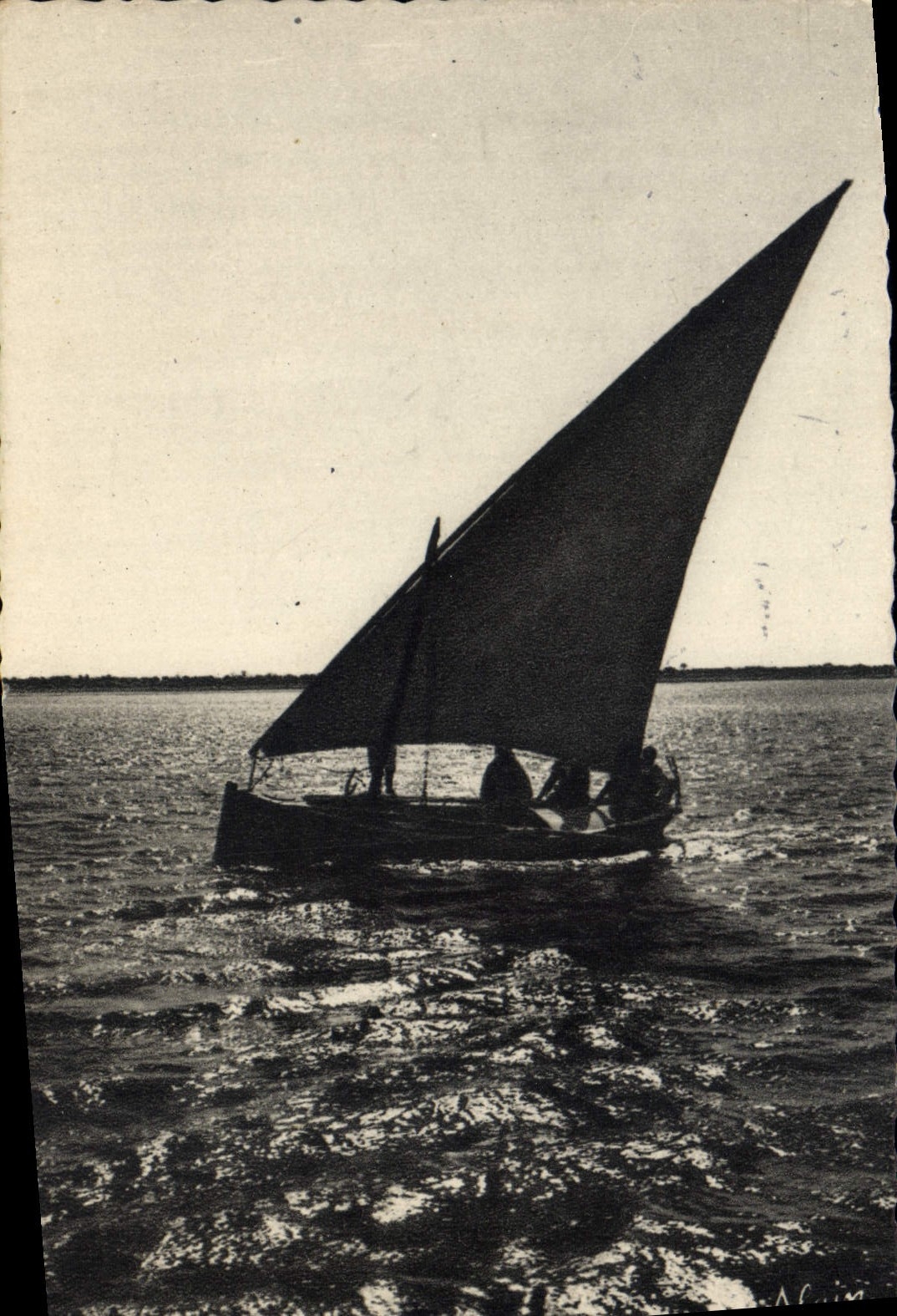 POSTAL MODERNA barco típico del barco de Jerba