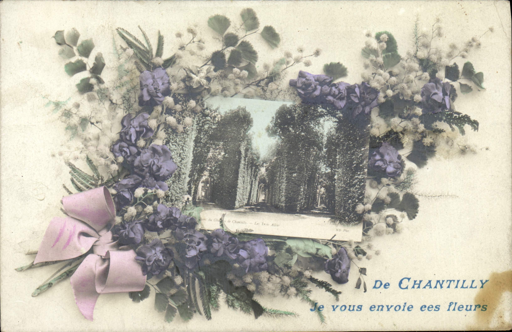 VINTAGE POSTCARD Fantasy Chantilly Flowers