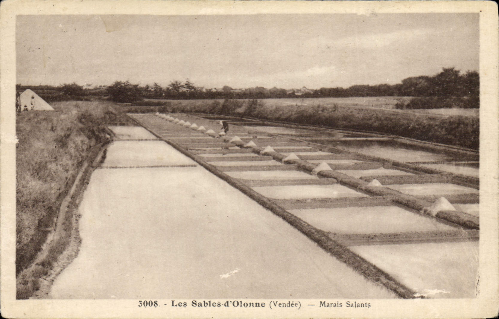 CPA Les Sables D'Olonne Marais Salants