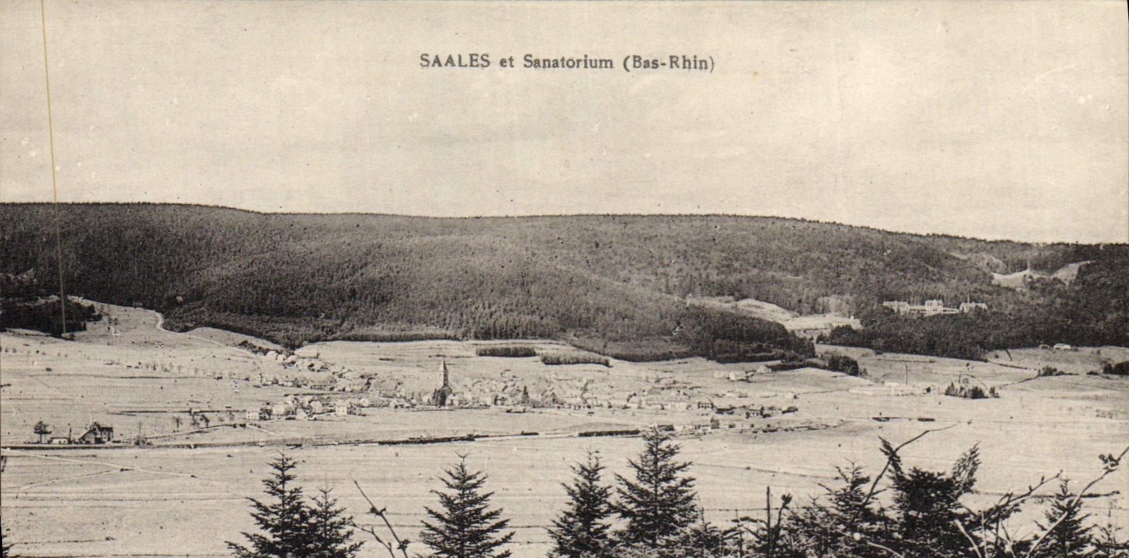 VINTAGE POSTCARD Saales And Sanatorium