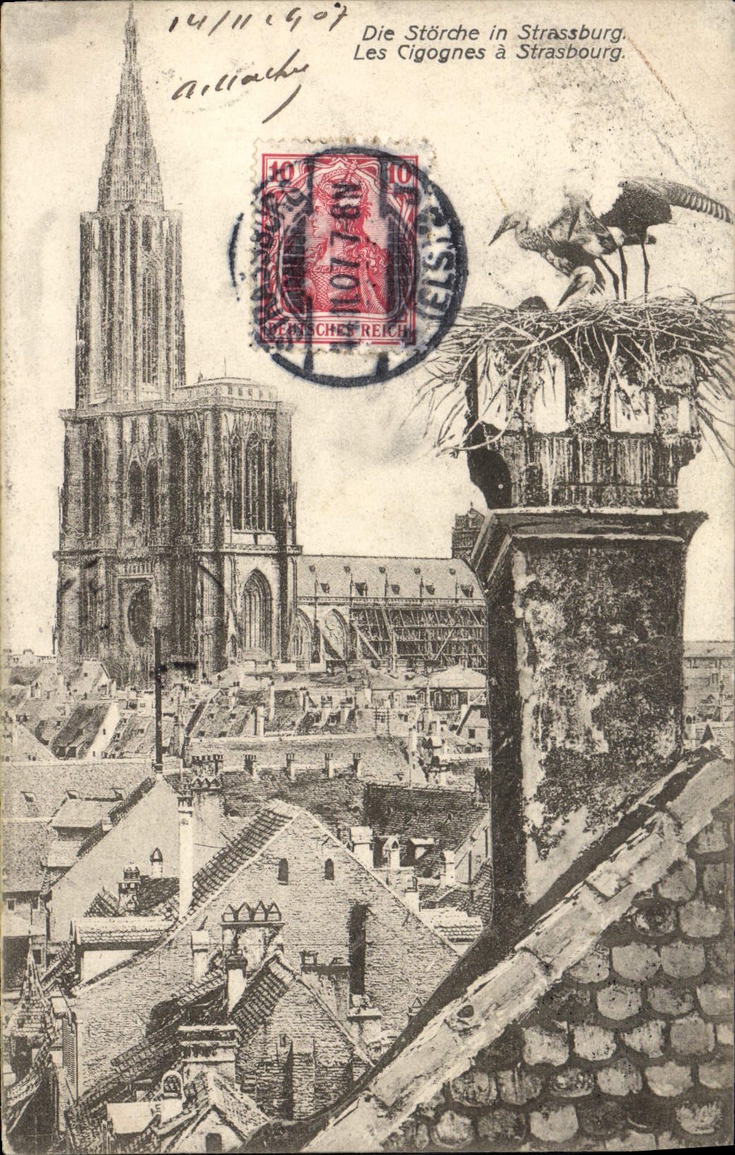 Cigüeñas de Strassburg de la POSTAL de la VENDIMIA
