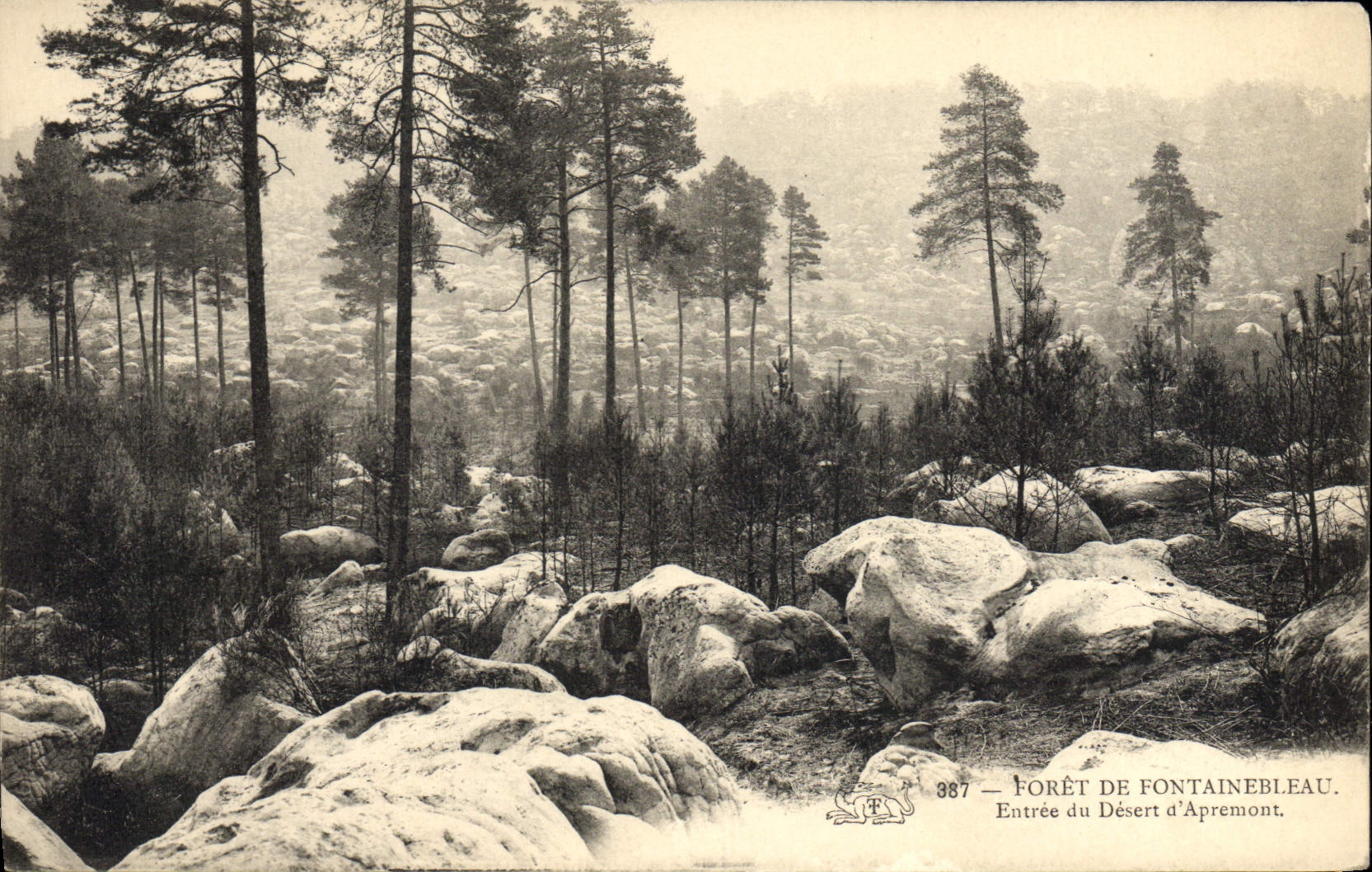 VINTAGE POSTCARD Port De Fontainebleau Entree Of Serves of Apremont