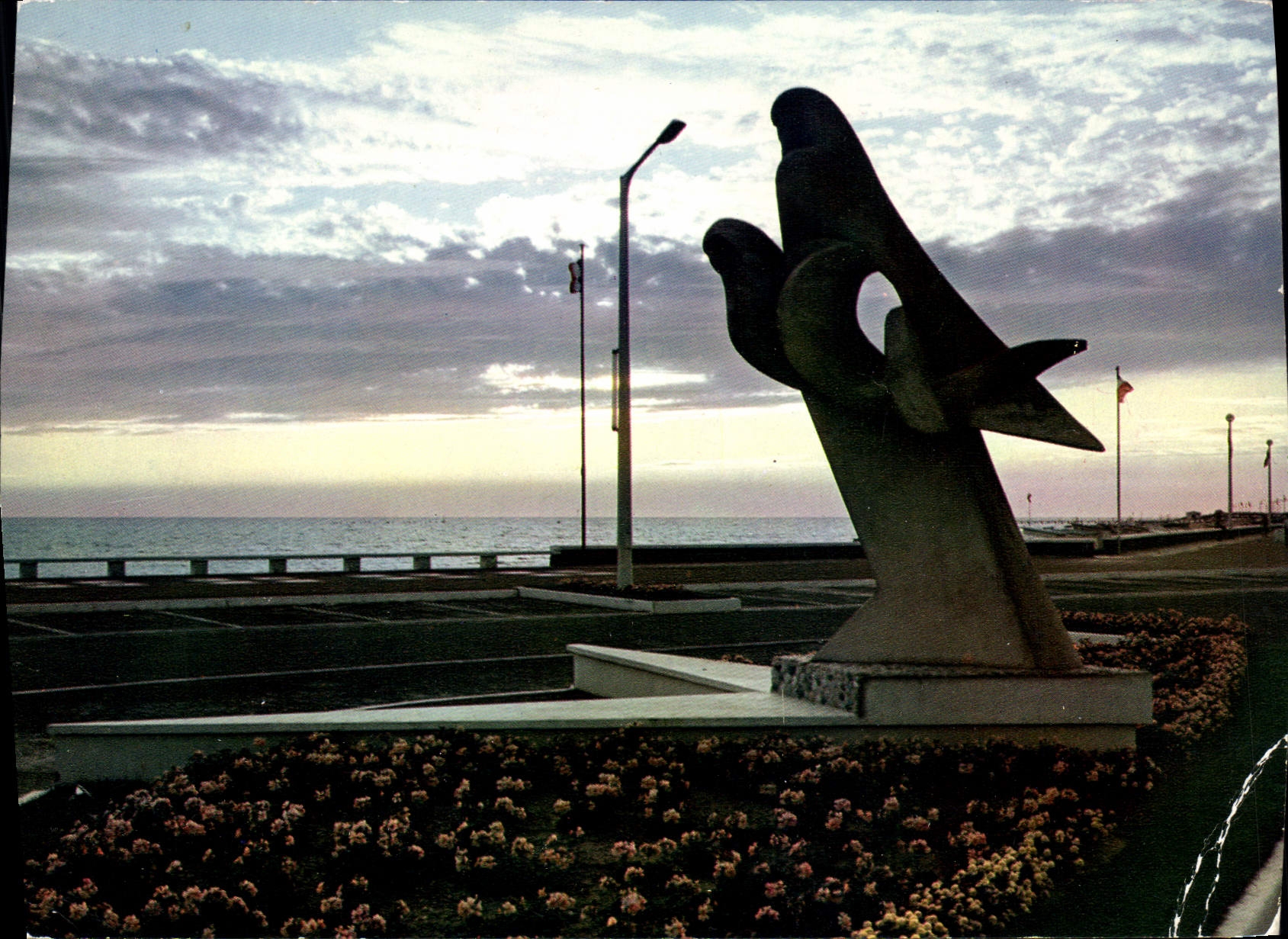 CPM Saint Jean De Monts Soleil Couchant Sur Les Oiseaux De Mer