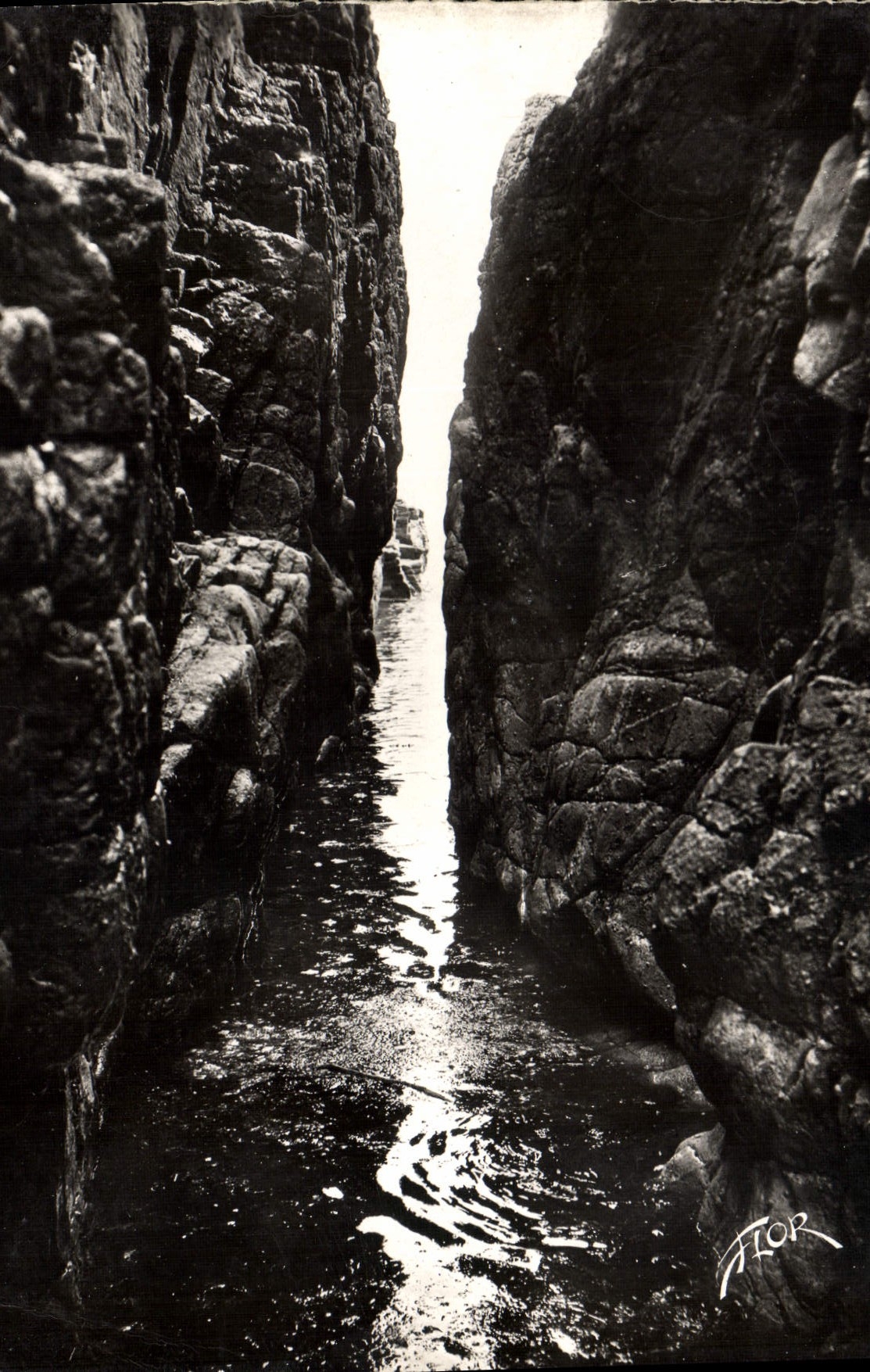 POSTAL de la VENDIMIA Sables d'Olonne bien de Hell De I' Interieur