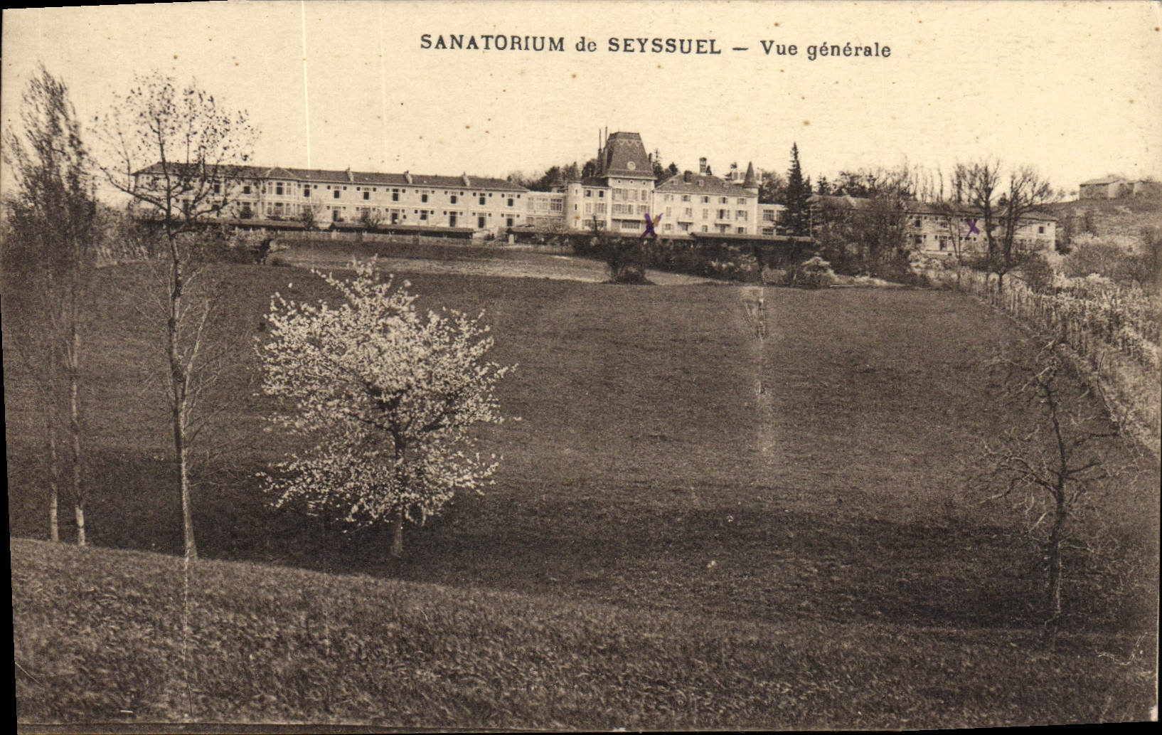 CPA Sanatorium De Seyssuel Vue Generale