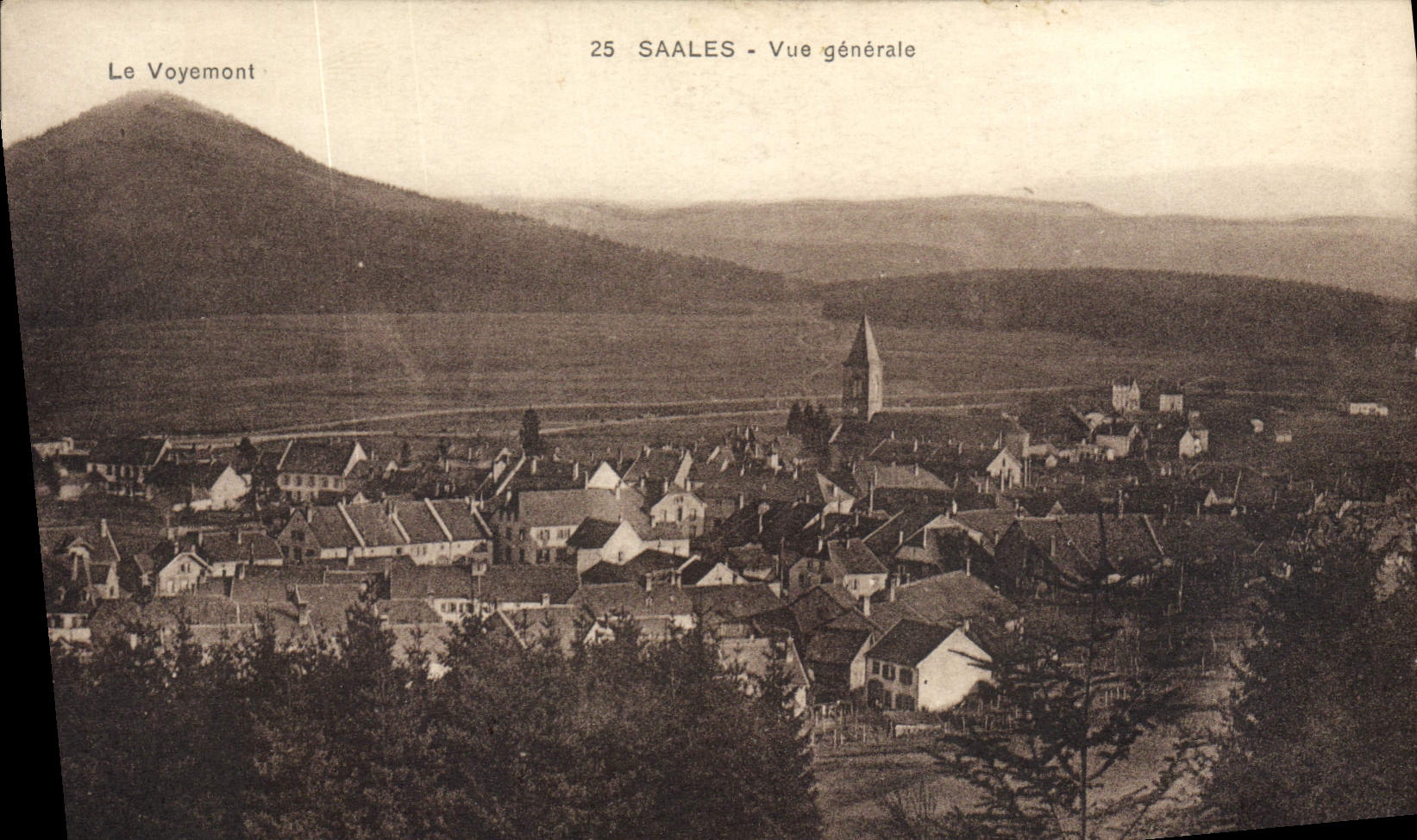 VINTAGE POSTCARD Saales View