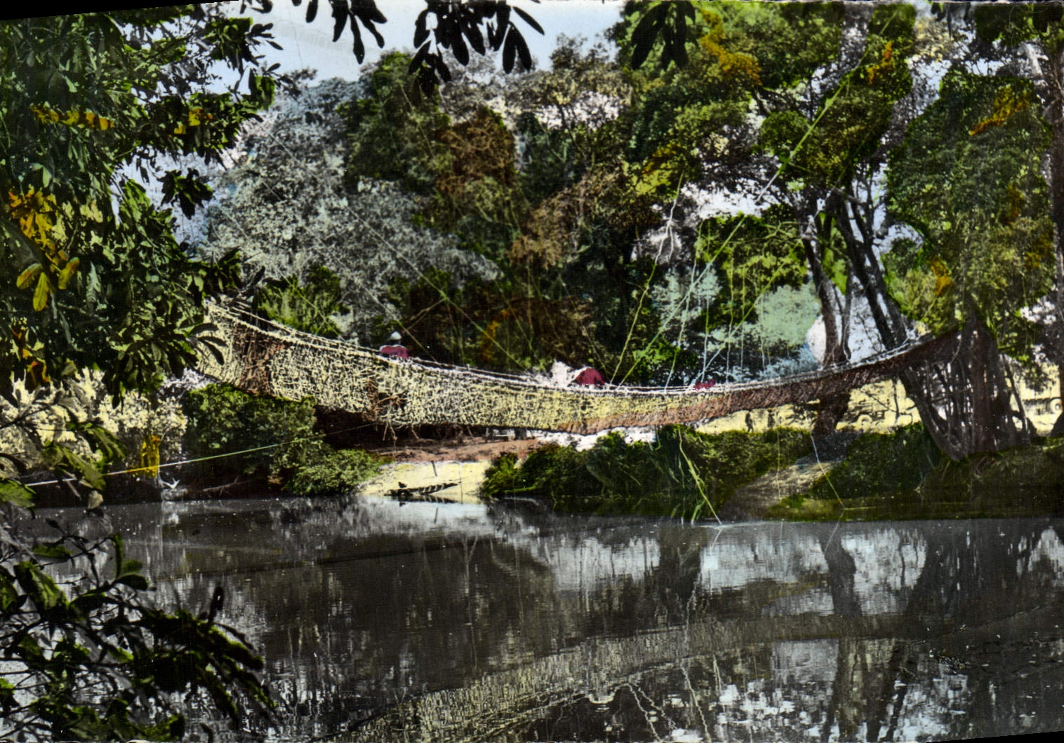 MODERN CARD Africa Colors Bridge Of Lianas