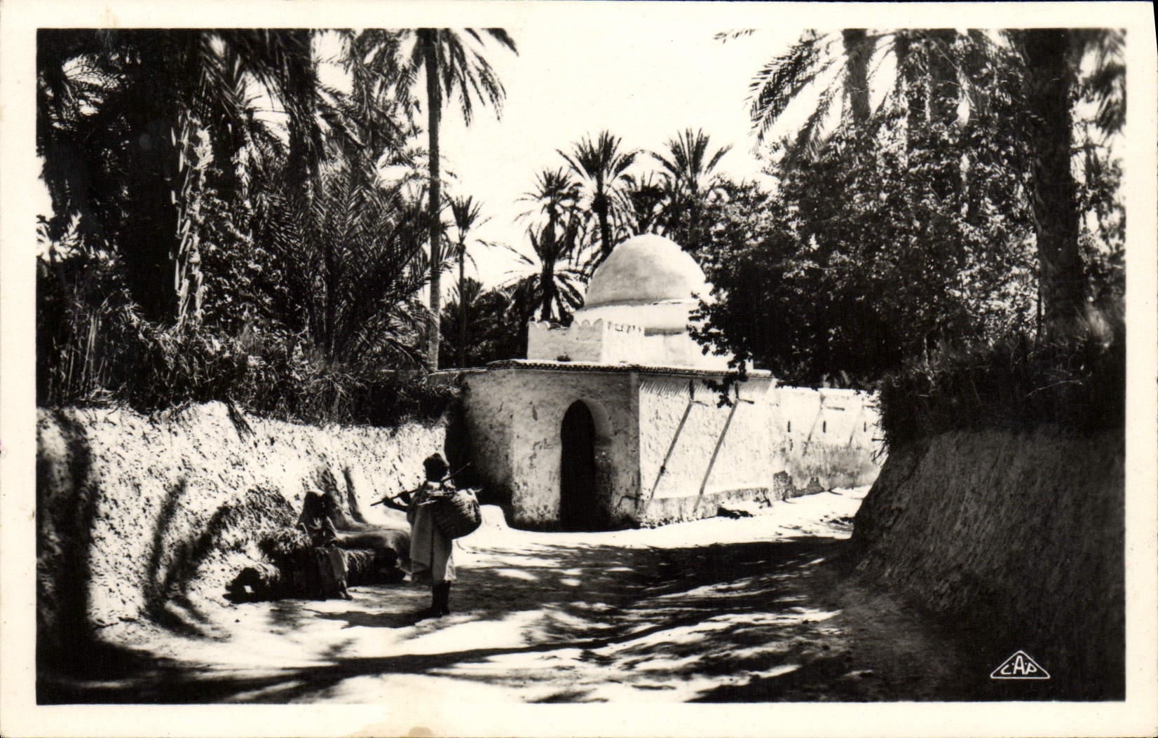 CPM Scenes Et Types Marabout Dans I'Oasis