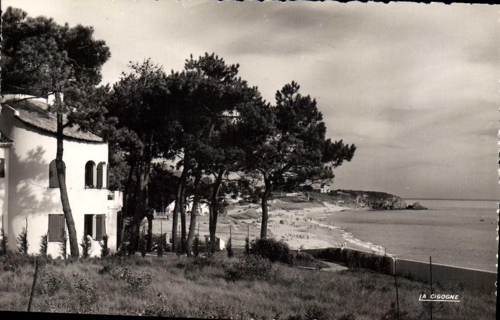 MODERN CARD Holy Marguerite Seen On the Sea