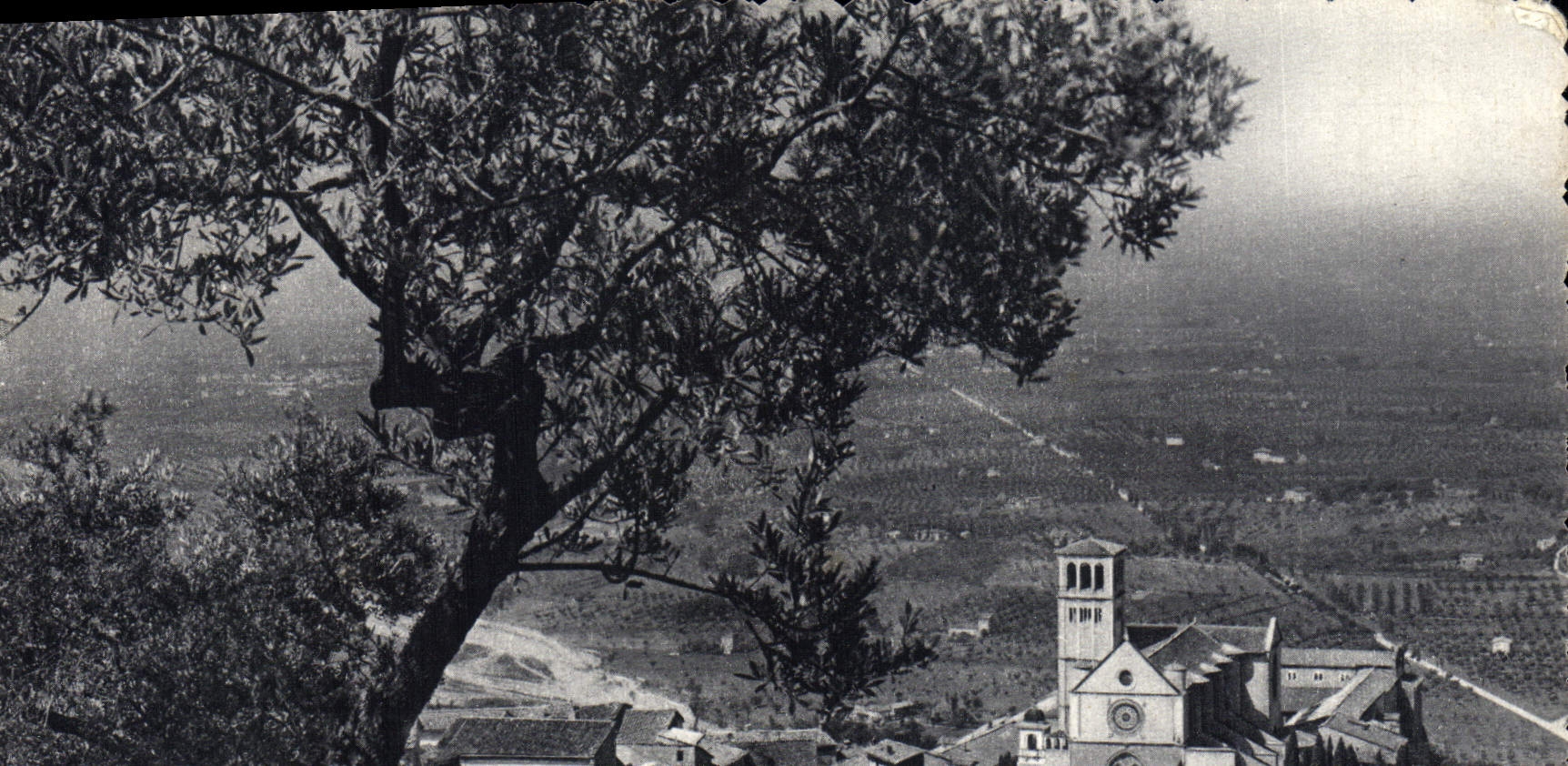 CPM Assisi Basilica Di Francesco e campagna Umbra 