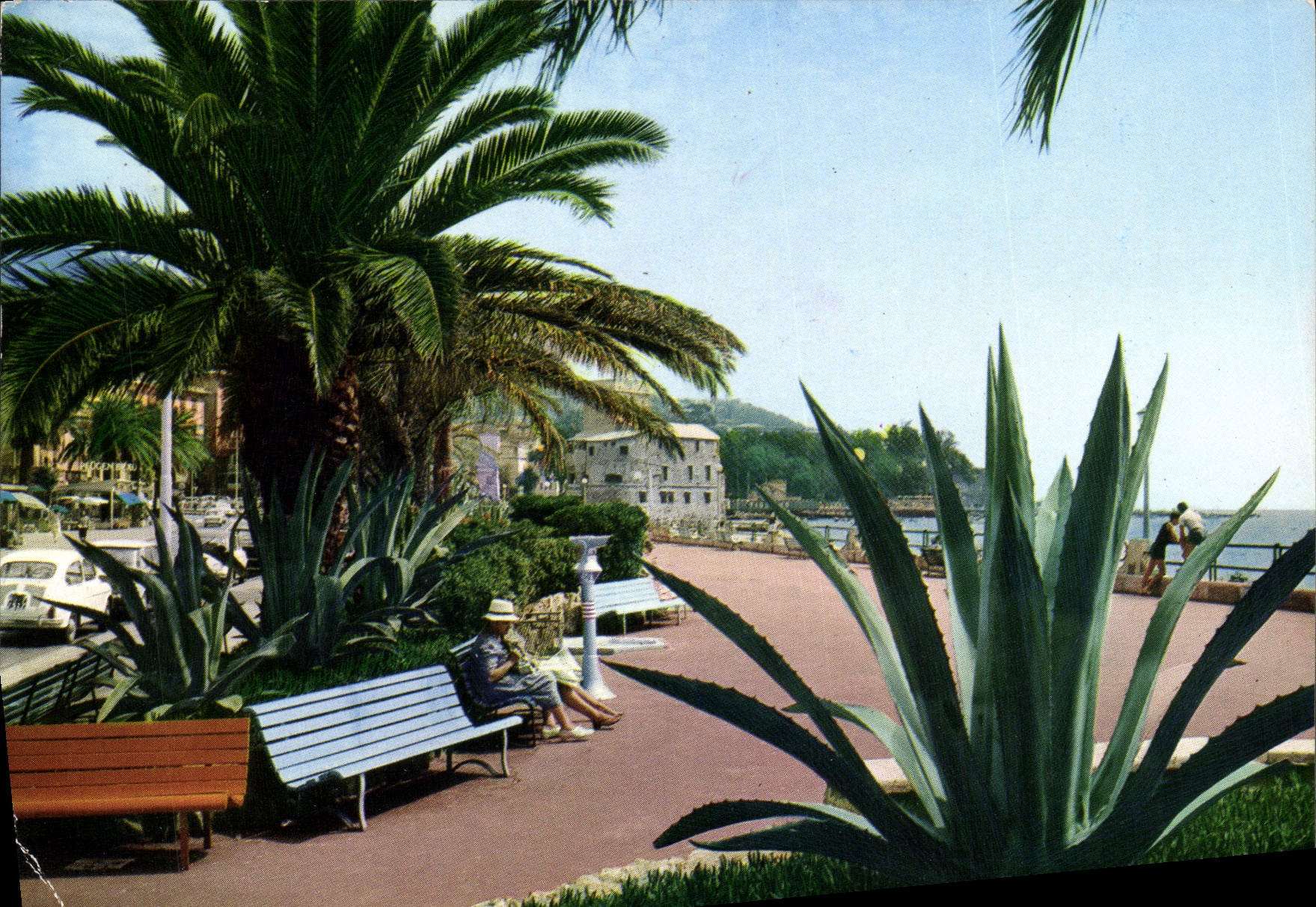 MODERN CARD Golfo Del Tigullio Rapallo Scorcio Del Lungoniare