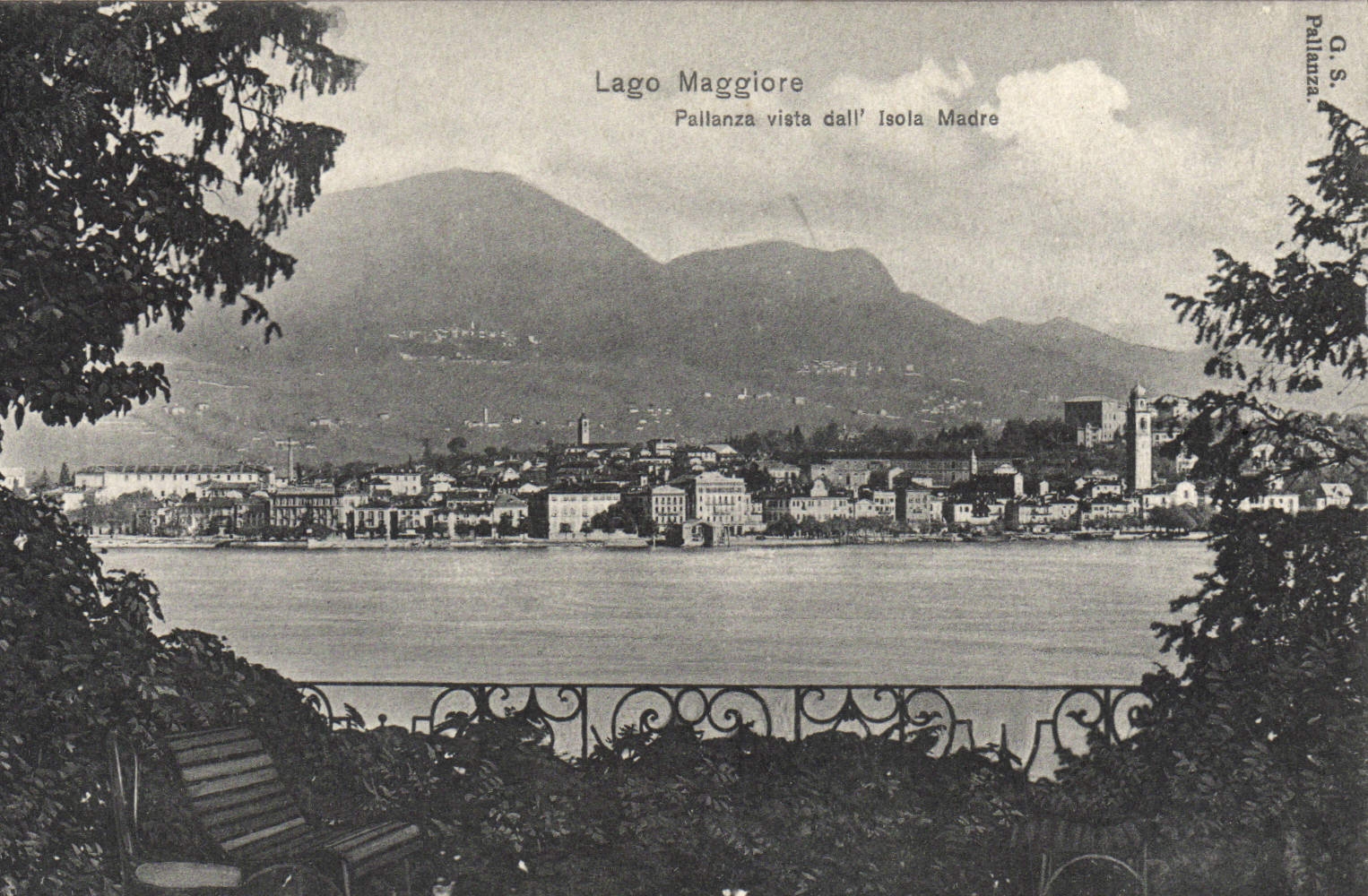 CPA Lago Maggiore Pallanza vista dall Isola Madre