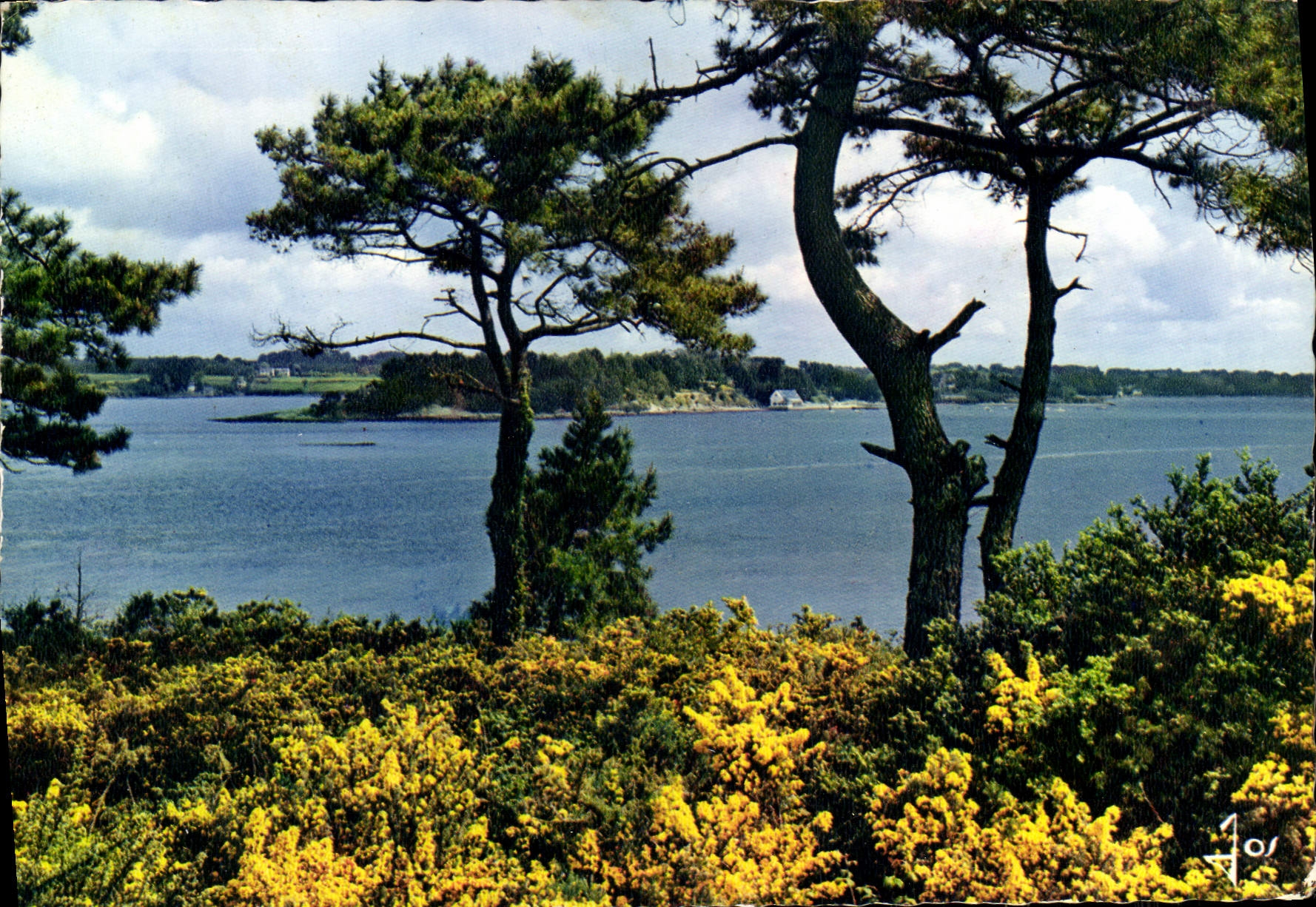 MODERN CARD Brittany Colors the Island With the Monks View on the Gulf