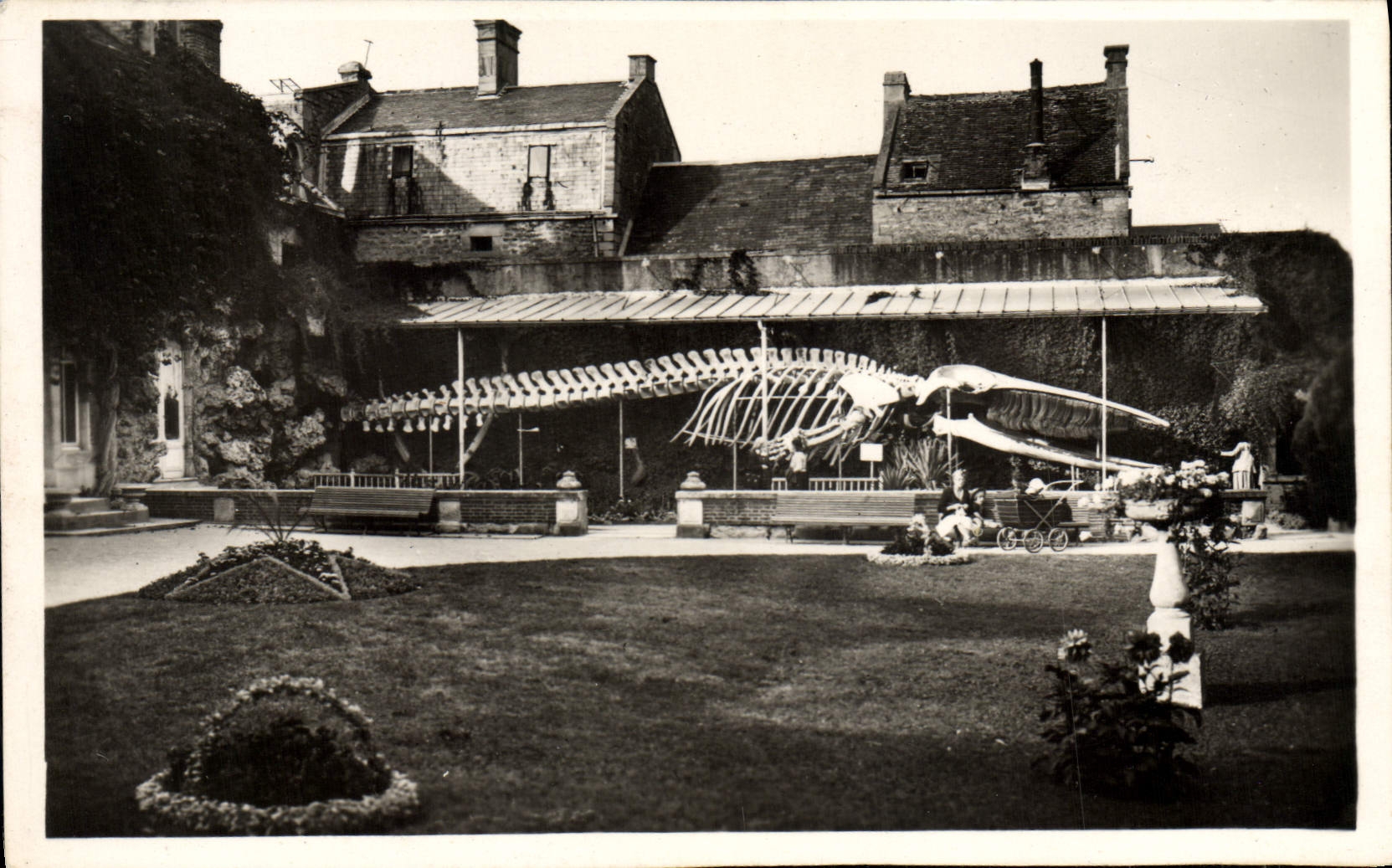 CPM Luc Sur Mer La Baleine Dans Le Jardin Public
