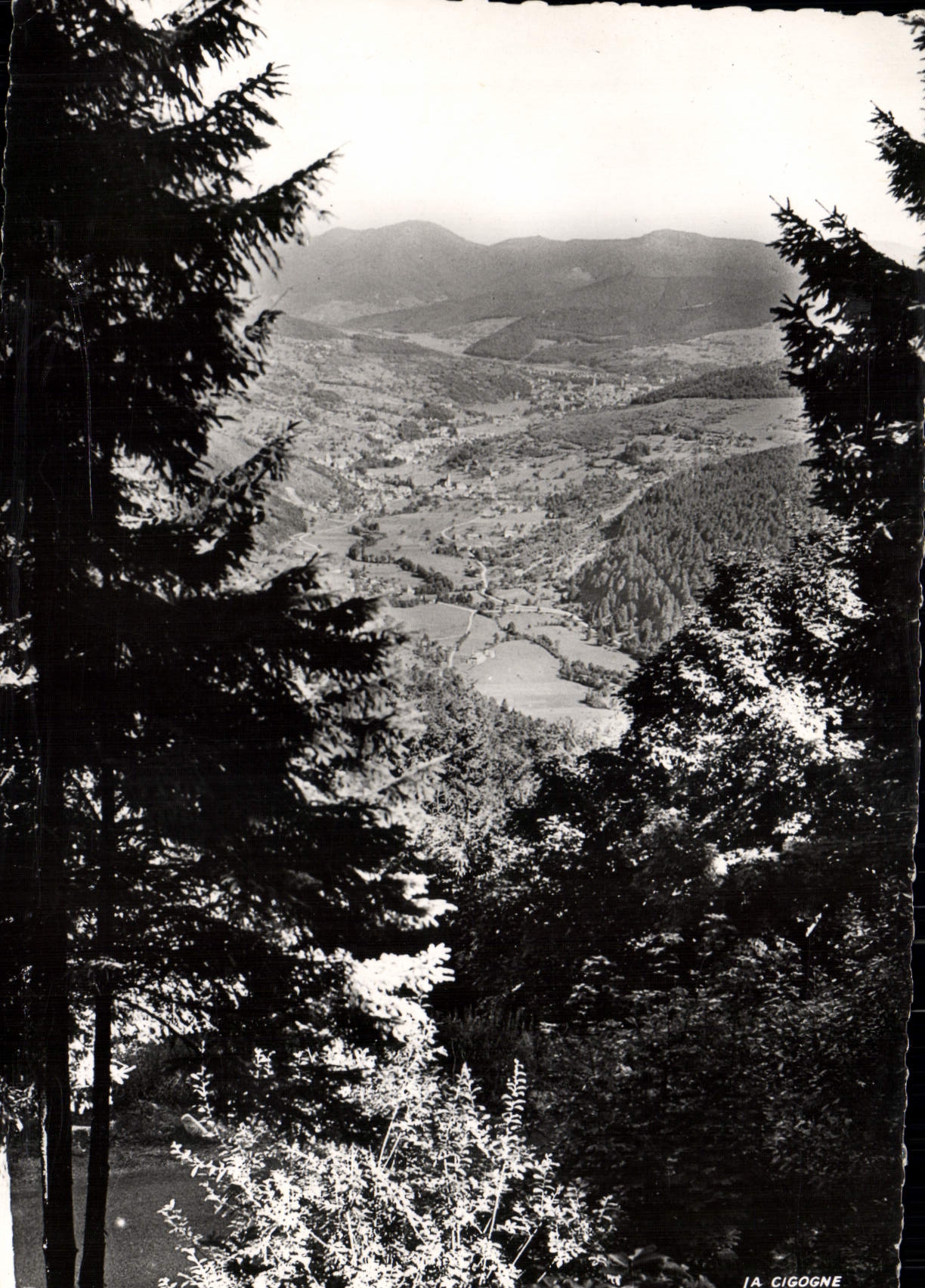 POSTAL MODERNA valle De Munster visto de Altenberg