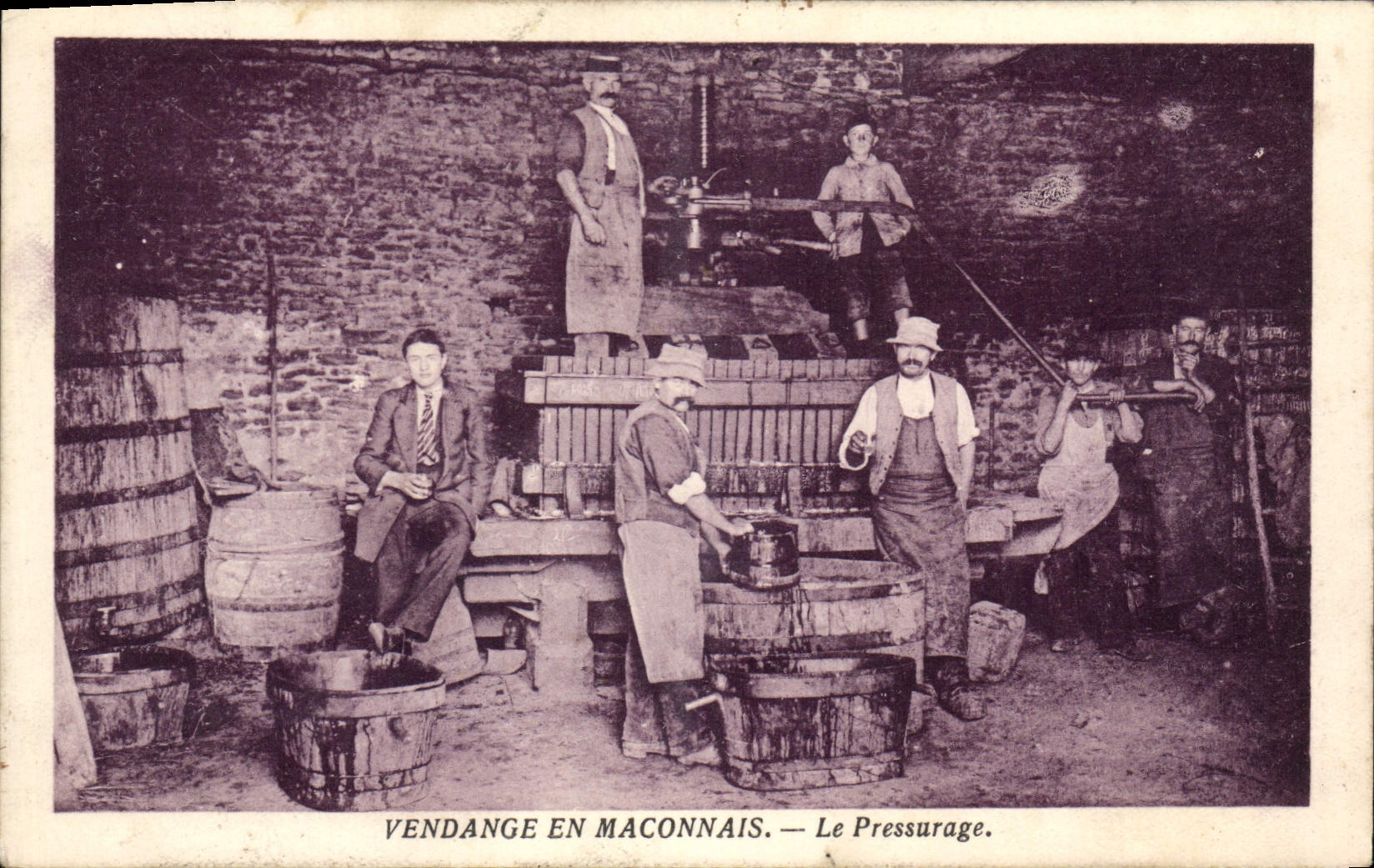 CPA Vendange en Maconnais Le pressurage