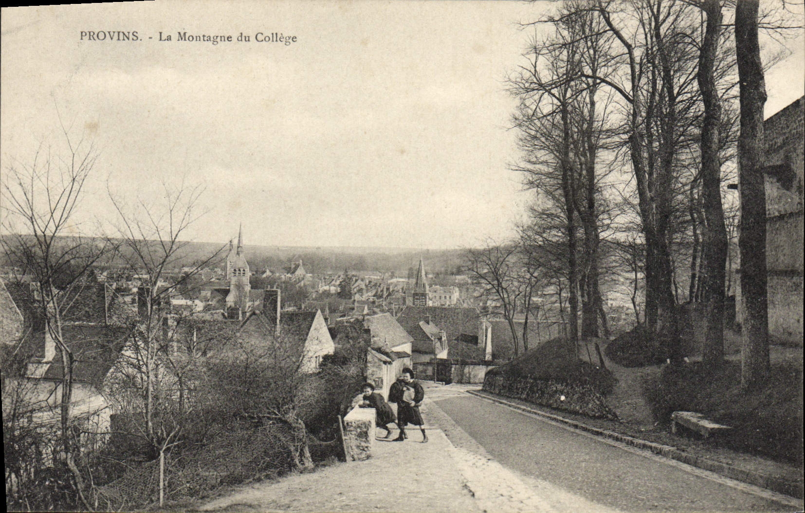 VINTAGE POSTCARD Layered branches the Mountain Of the College Children